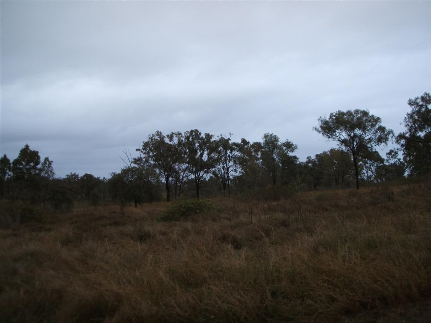 126 Hume Road, KABRA QLD 4702, Kabra - Thumbnail 2