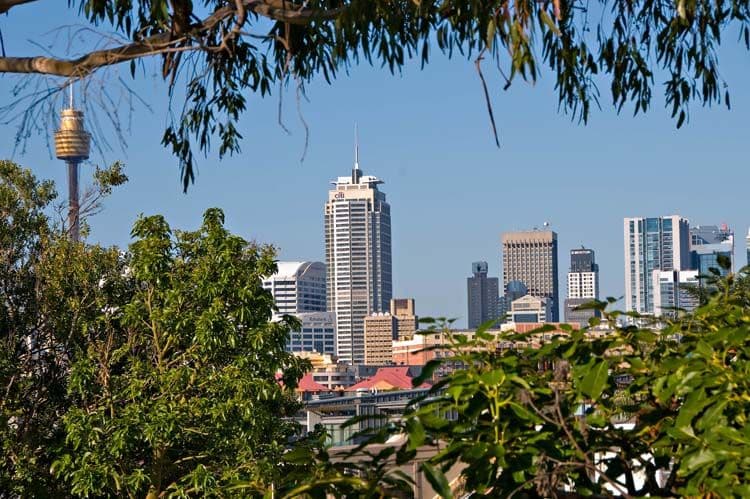 19-21 Forsyth Street, GLEBE NSW 2037, Glebe - Thumbnail 2