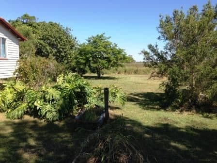 341 Goodwood Road, THABEBAN QLD 4670, Thabeban - Thumbnail 5