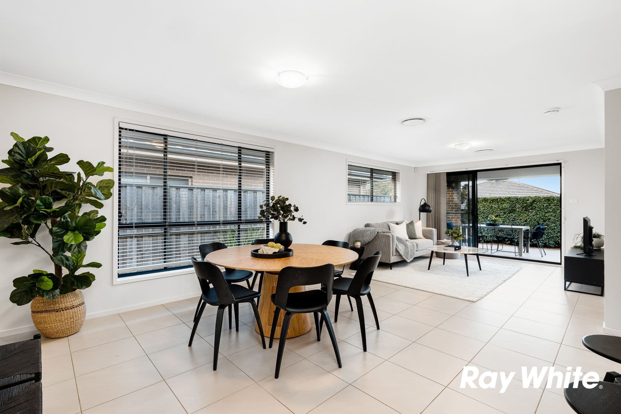 33 Hastings Street, The Ponds NSW 2769, The Ponds - Thumbnail 4