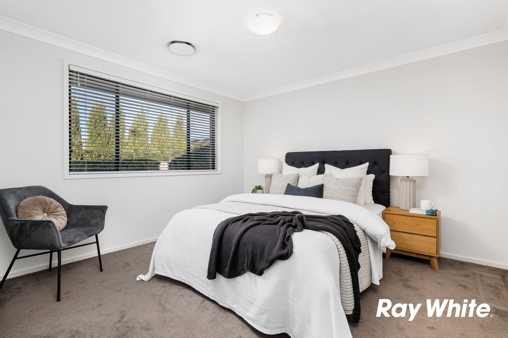 33 Hastings Street, The Ponds NSW 2769, The Ponds - Thumbnail 8