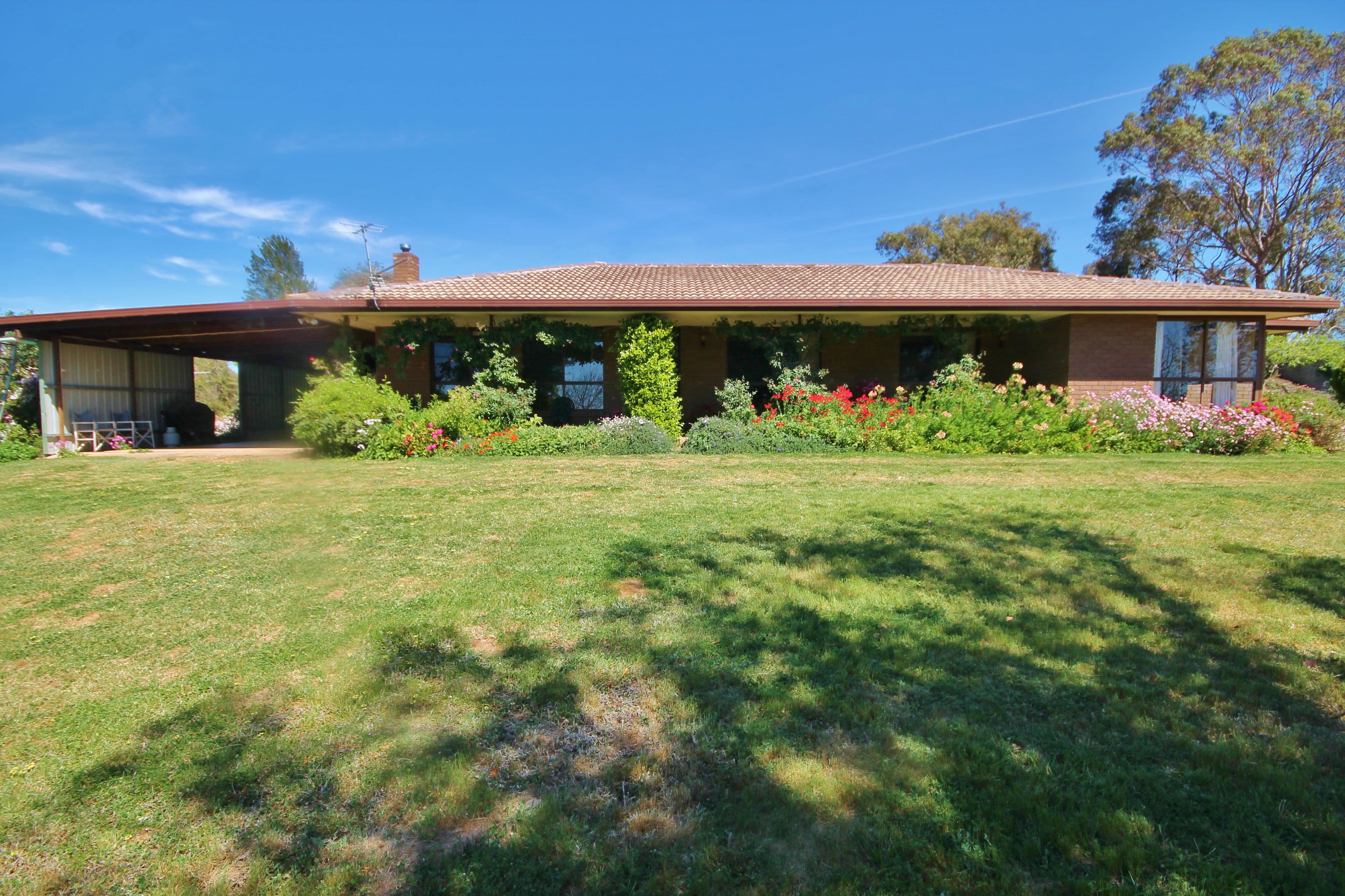 249 Noonans Road, Young NSW 2594, Young - Thumbnail 4