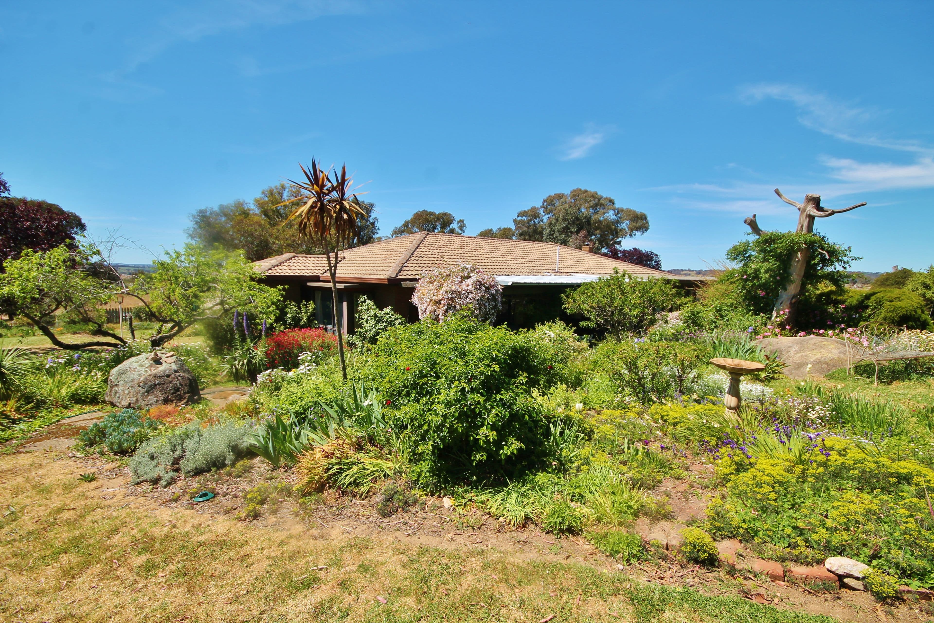 249 Noonans Road, Young NSW 2594, Young - Thumbnail 5