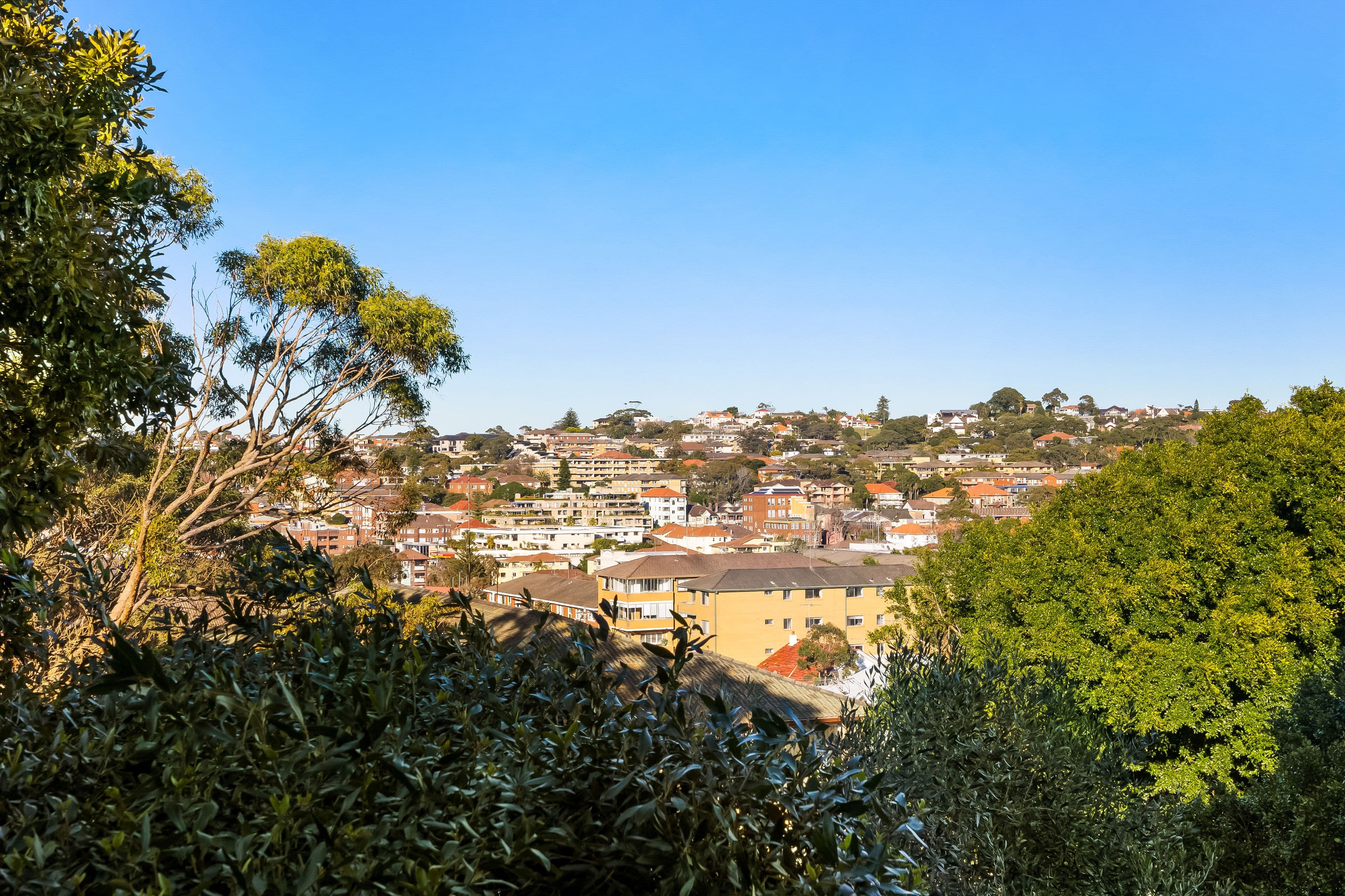 347 Alison Road, Coogee NSW 2034, Coogee - Thumbnail 3