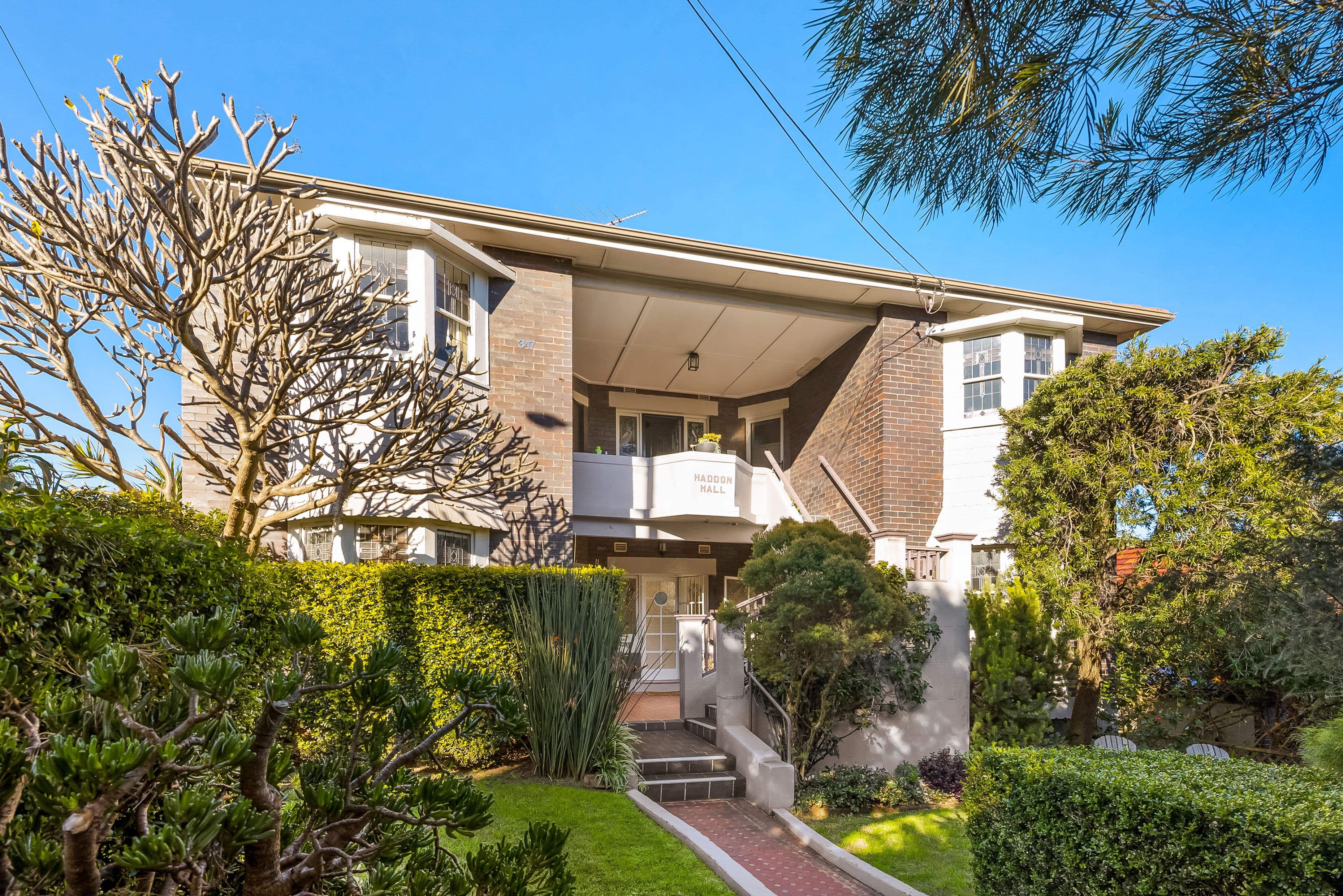 347 Alison Road, Coogee NSW 2034, Coogee - Thumbnail 8