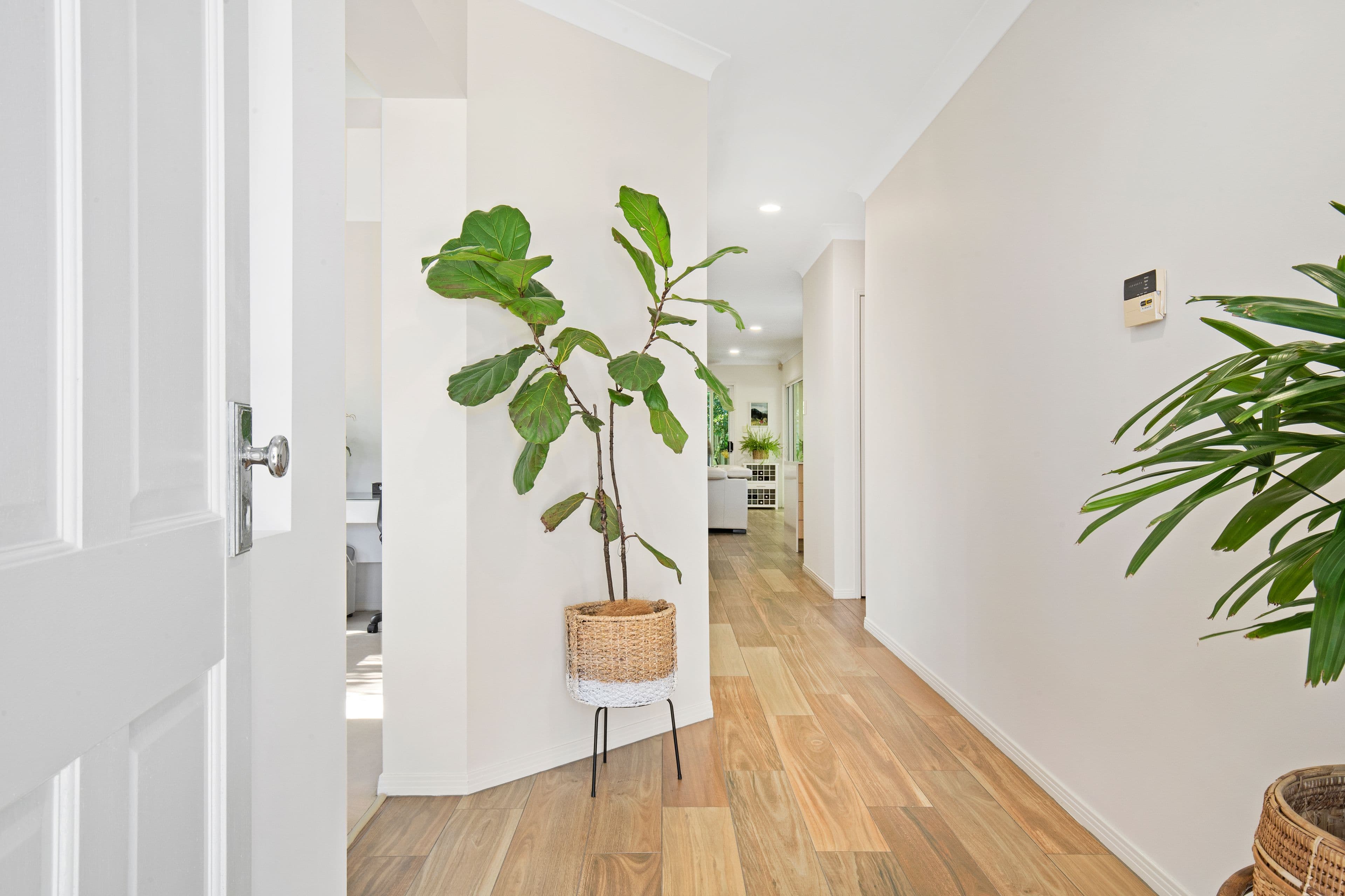 7 Bella Donna Place, Robina QLD 4226, Robina - Thumbnail 3