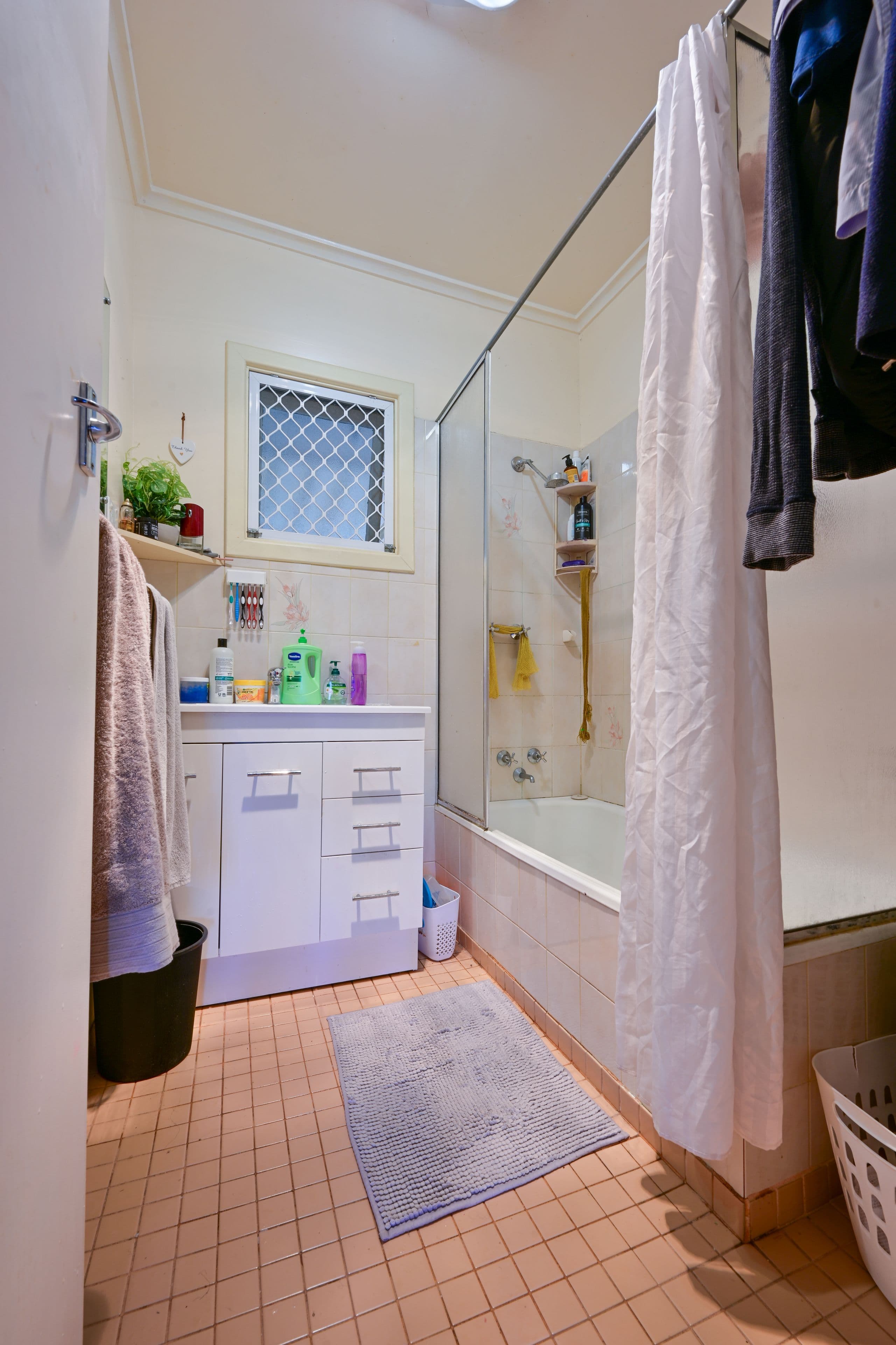 8 Cassia Court, Mullumbimby NSW 2482, Mullumbimby - Thumbnail 6