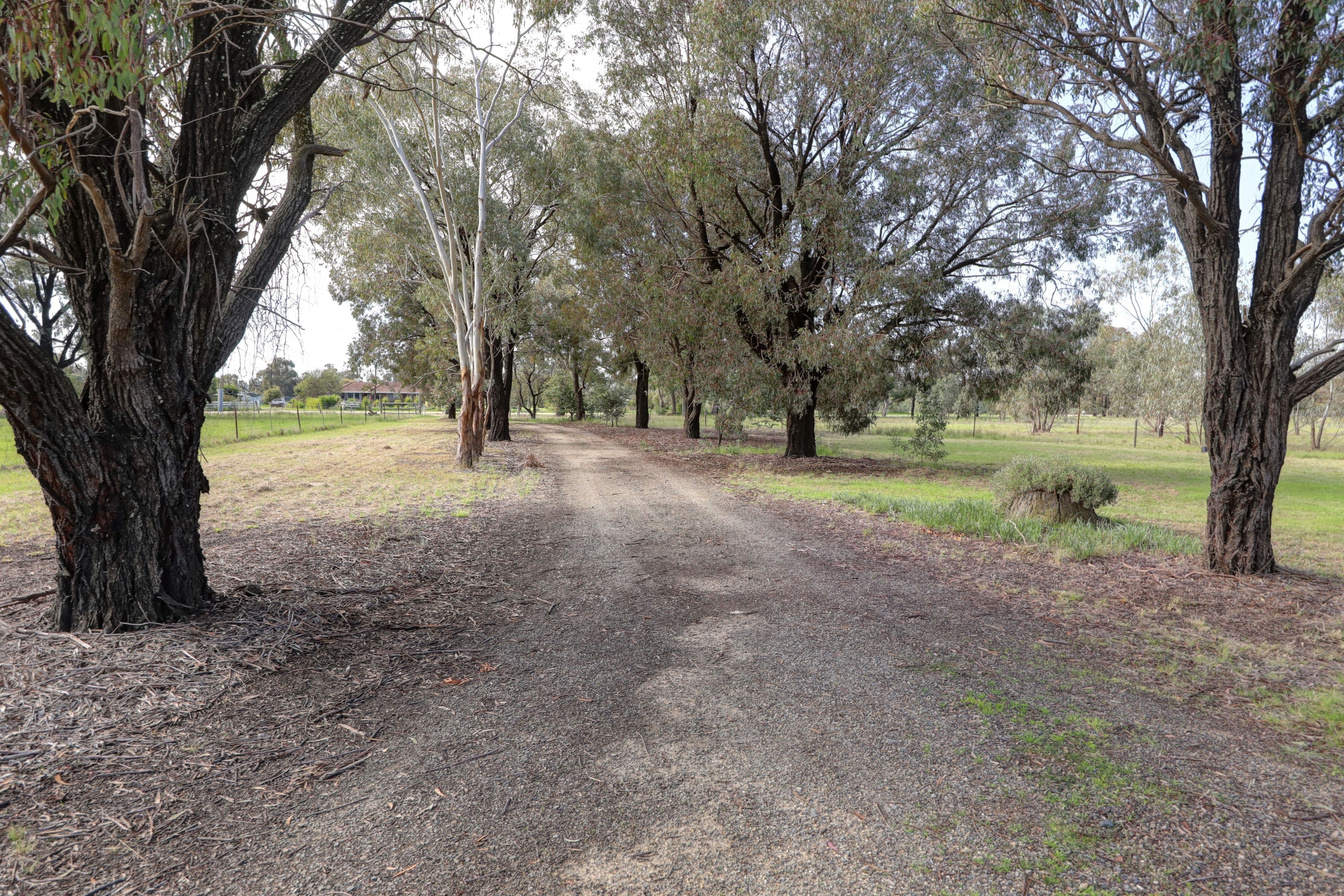 20 Ferris Street, Bearii VIC 3641, Bearii - Thumbnail 3