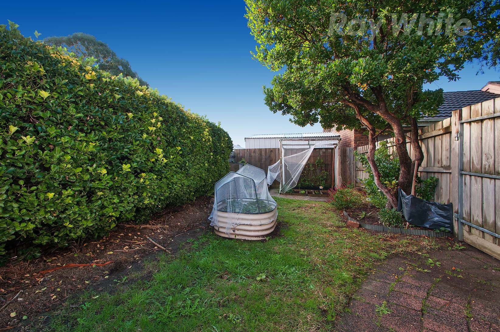 24 SLEVIN Street, Lilydale VIC 3140, Lilydale - Thumbnail 7