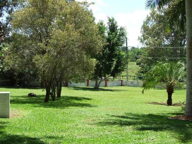 37 Burow Road, WATERFORD QLD 4133, Waterford West - Thumbnail 7