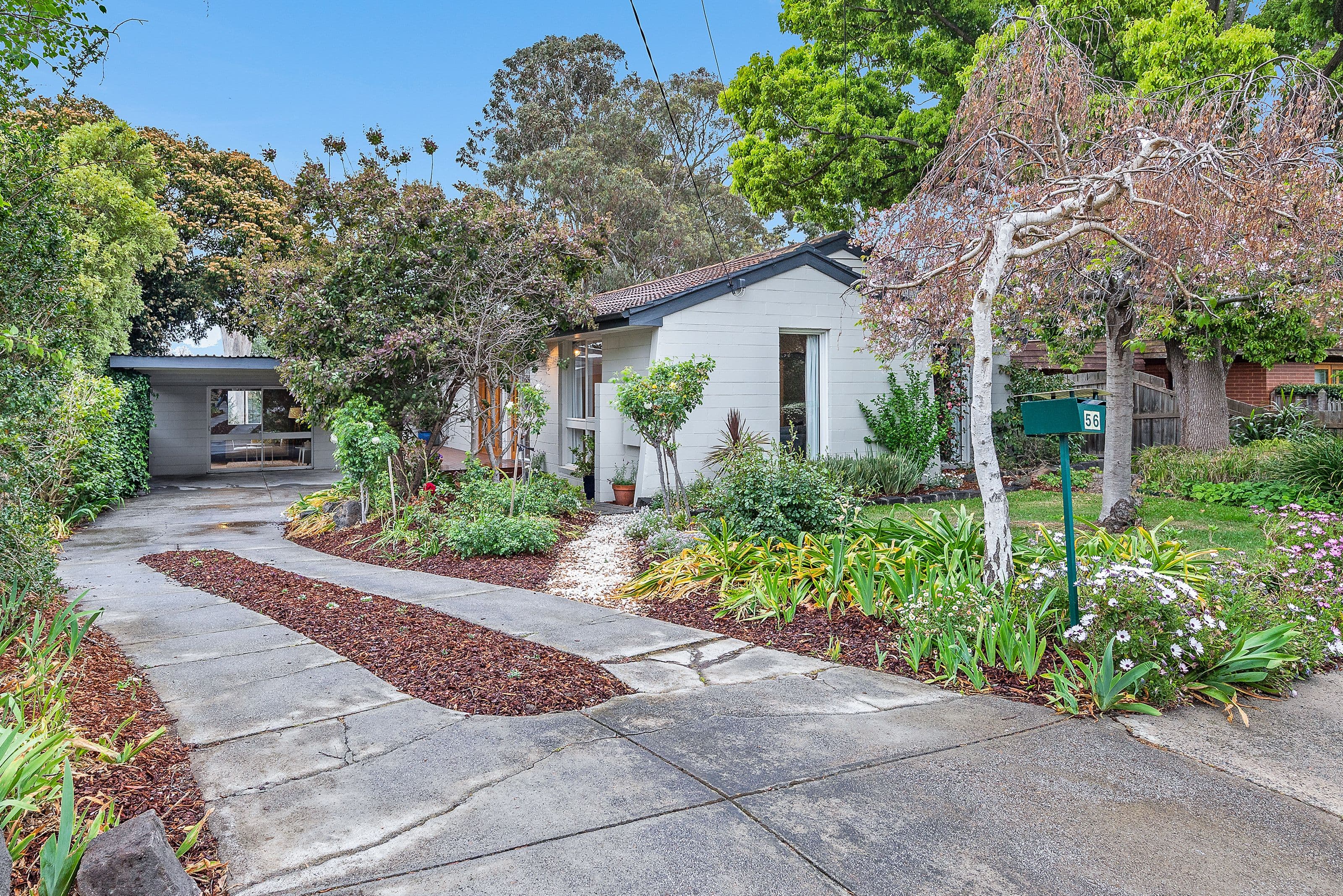 56 Kambara Drive, Mulgrave VIC 3170, Mulgrave - Image 1