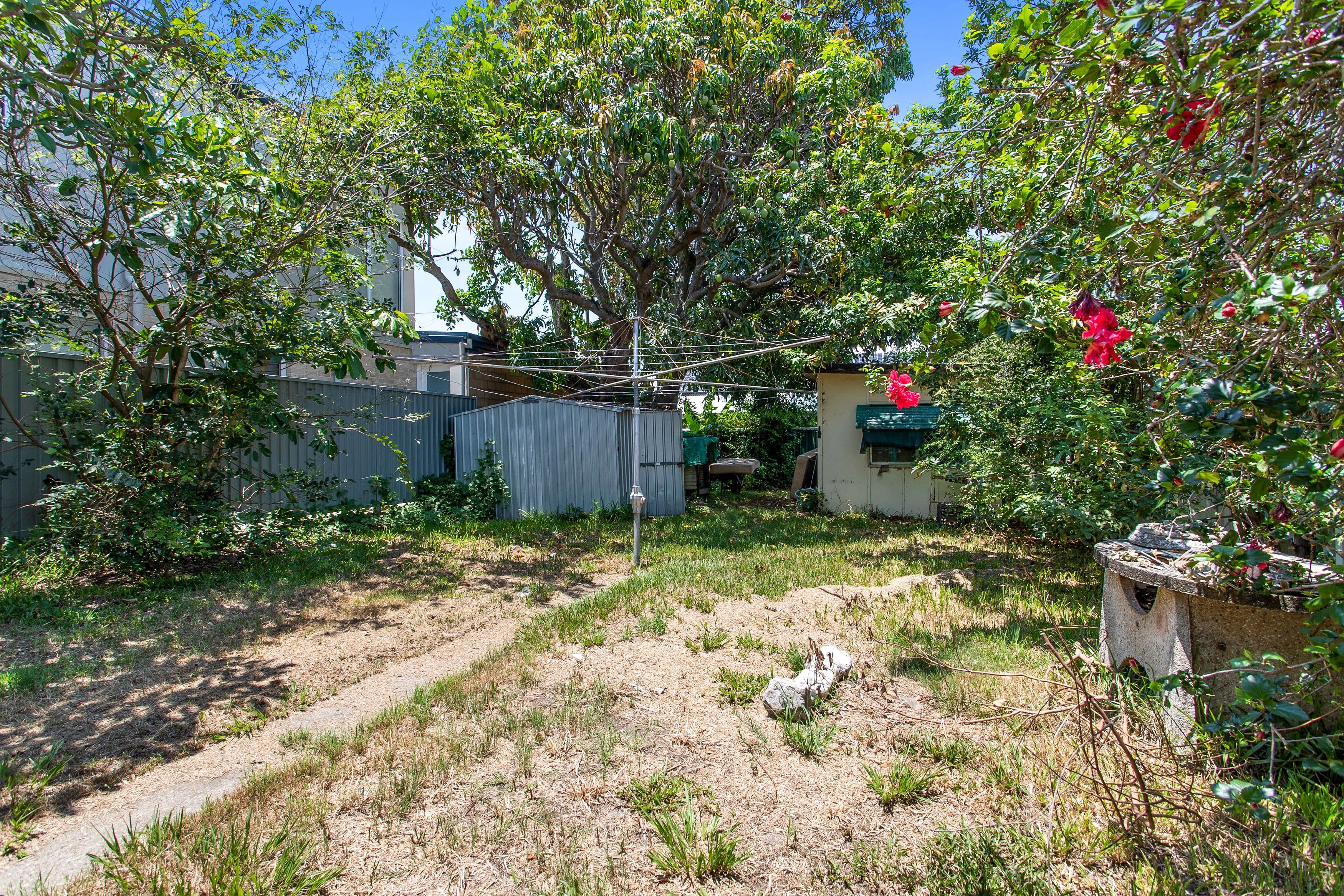 9 Davis Street, Redcliffe QLD 4020, Redcliffe - Thumbnail 3