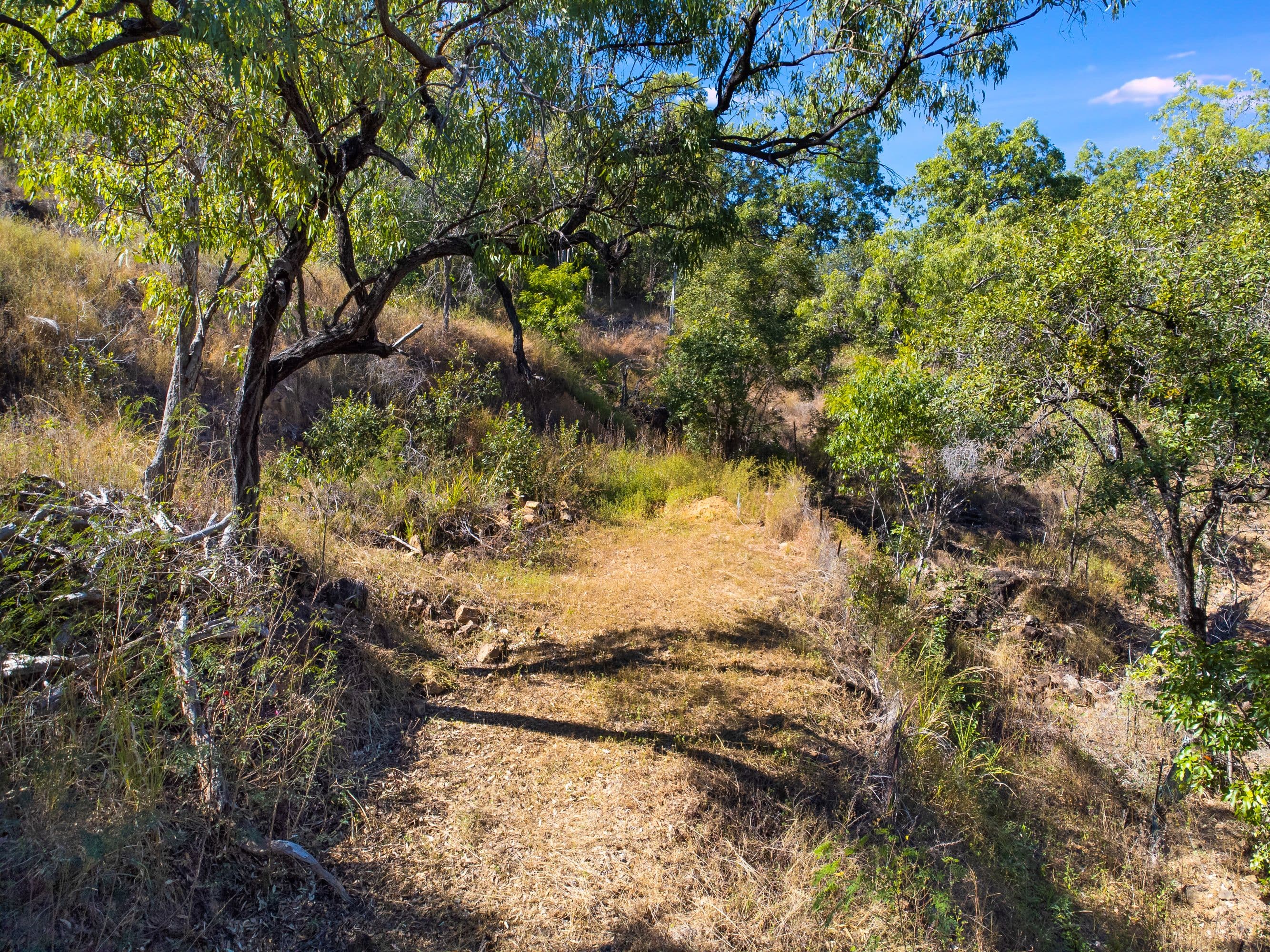 9 Woodlands Court, Castle Hill QLD 4810, Castle Hill - Thumbnail 4