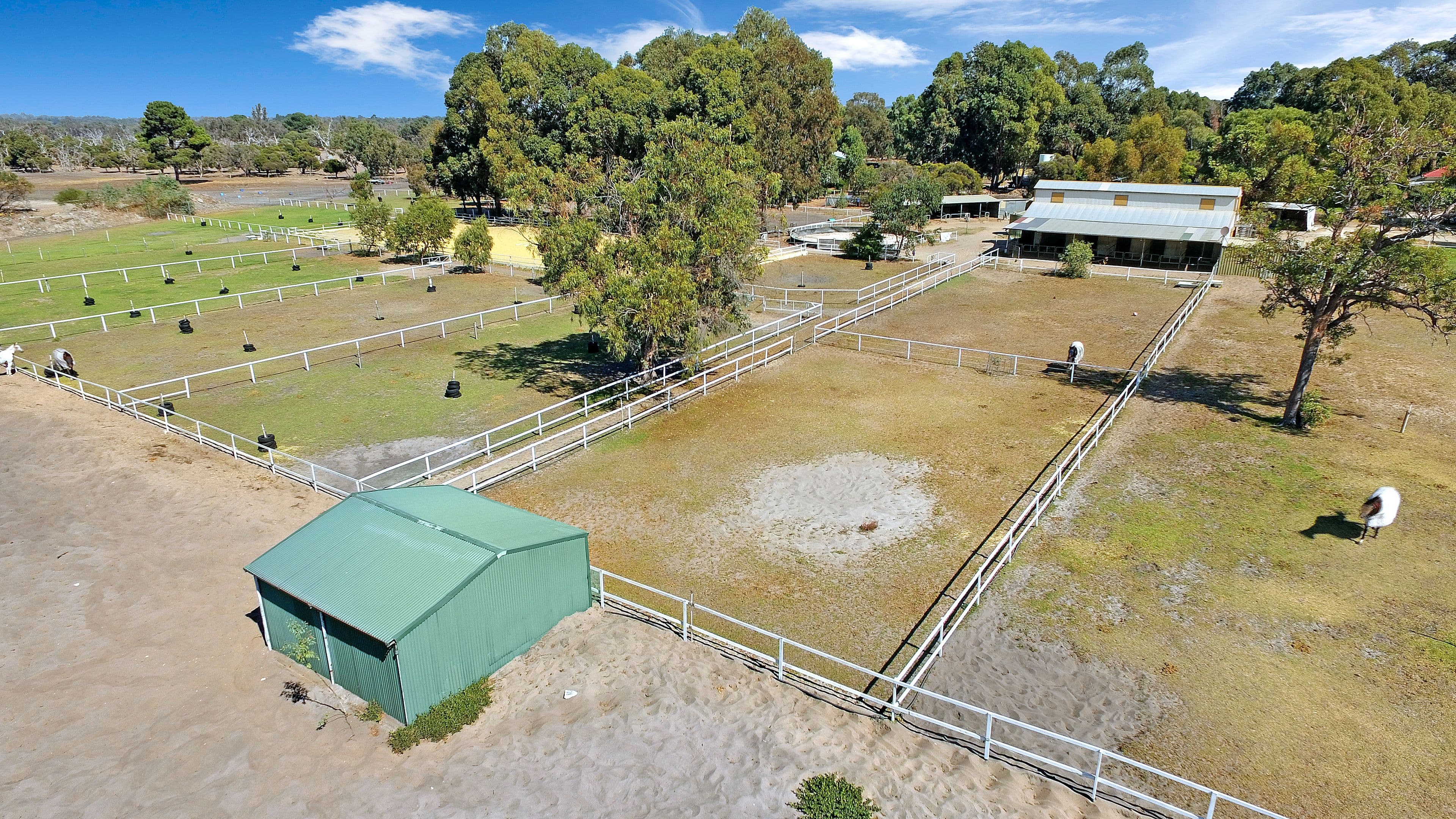 300 Neaves Road, MARIGINIUP WA 6078, Mariginiup - Thumbnail 4
