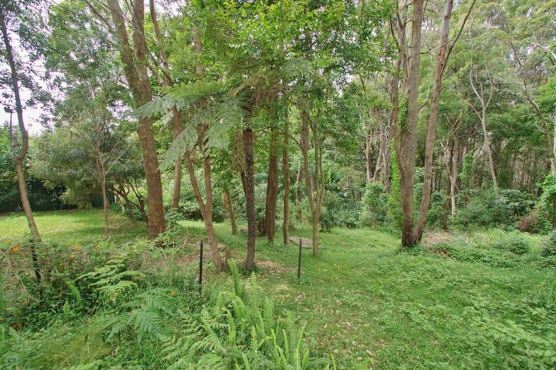 33 Hill Street, AUSTINMER NSW 2515, Austinmer - Thumbnail 5