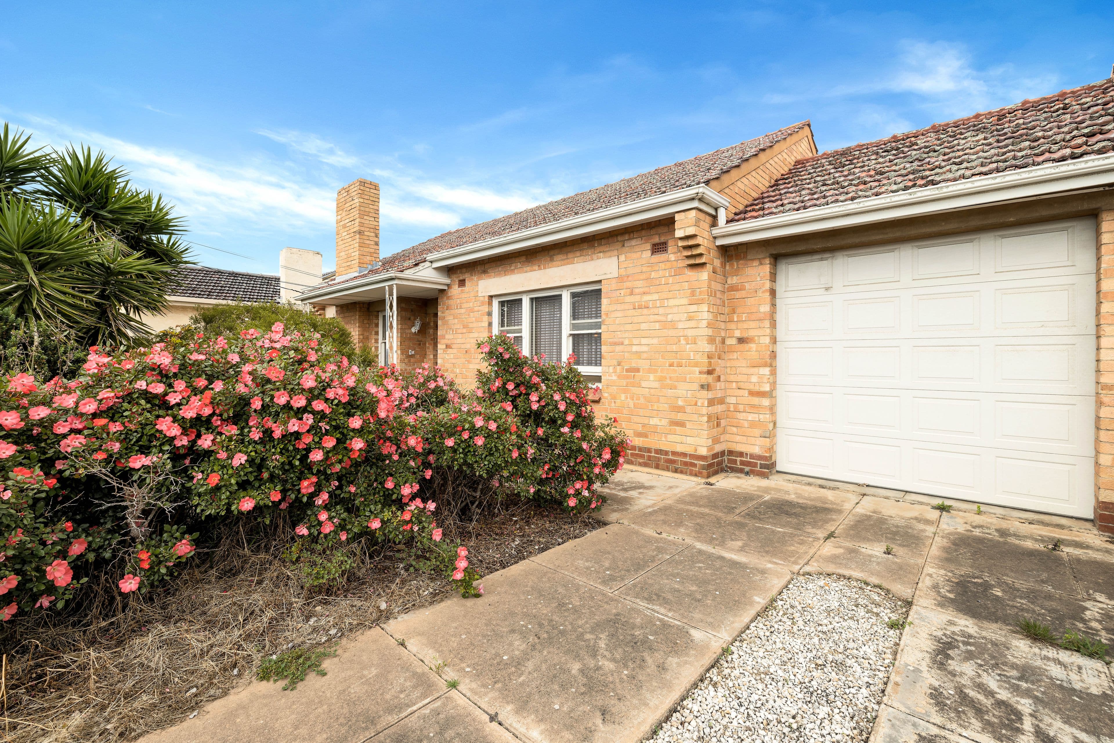 54 Dampier Avenue, Flinders Park SA 5025, Flinders Park - Thumbnail 2