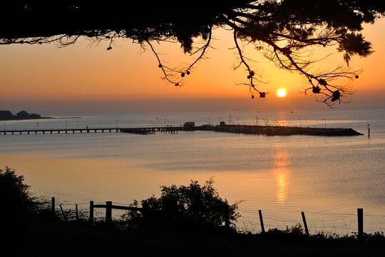 54 Langdon Street, Portarlington VIC 3223, Portarlington - Thumbnail 5