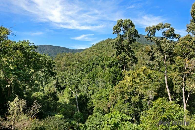 73-75 Golden Street, Goldsborough QLD 4865, Goldsborough - Thumbnail 3