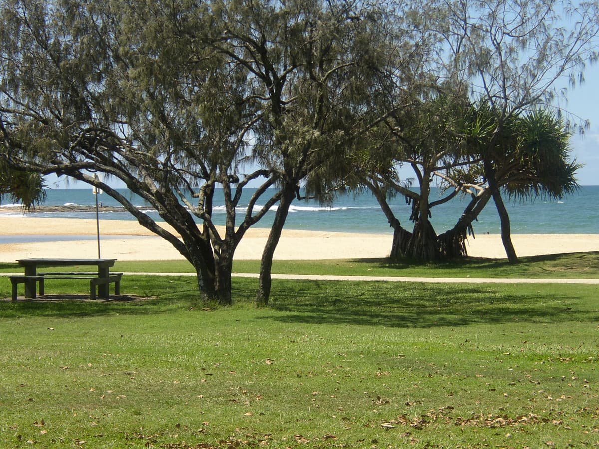 39 Nothling Street, Moffat Beach QLD 4551, Moffat Beach - Thumbnail 5