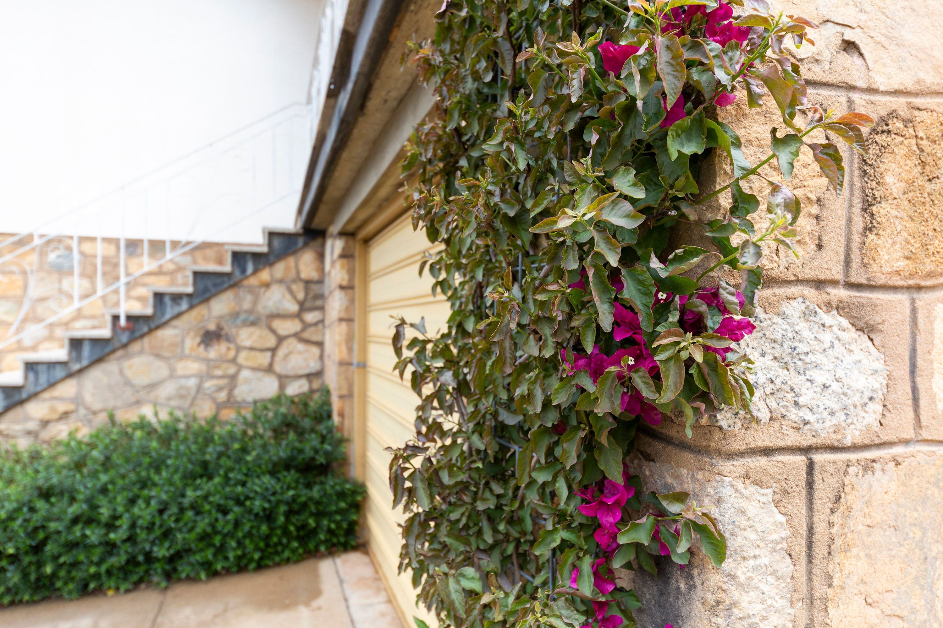 89 Ross Road, Queanbeyan NSW 2620, Queanbeyan - Thumbnail 3
