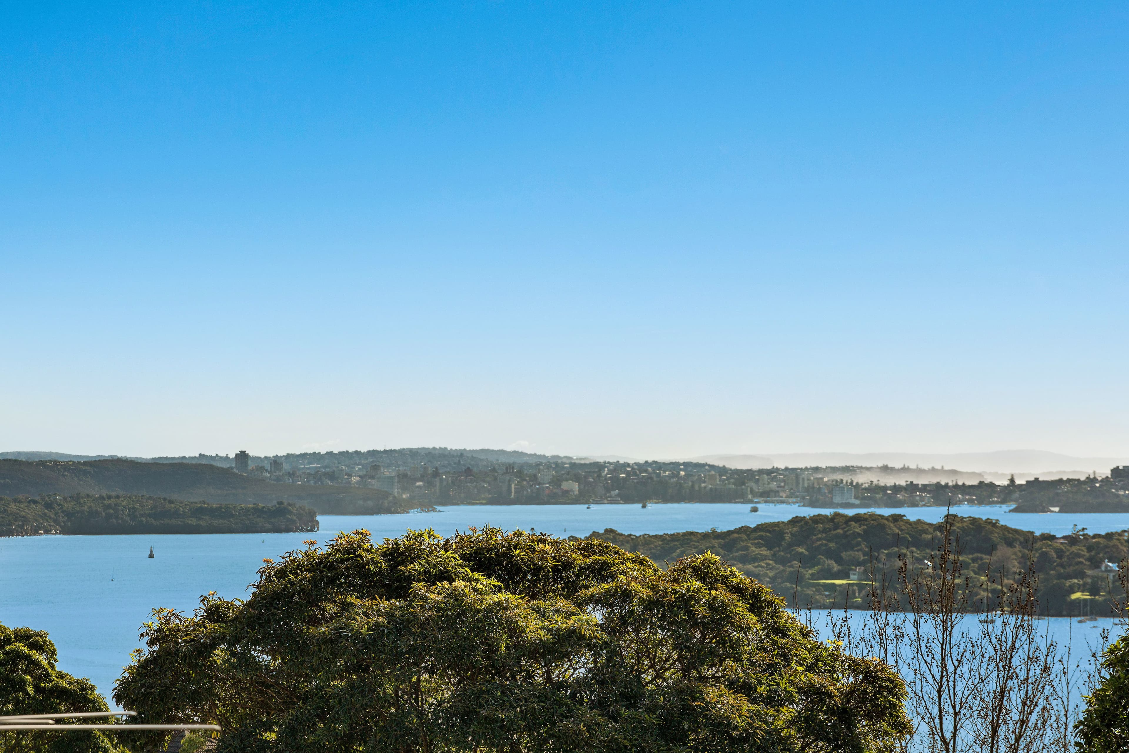 1 Vivian Street, Bellevue Hill - Thumbnail 4