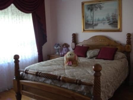 11 Theta Street, SALISBURY SA 5108, Salisbury - Thumbnail 4