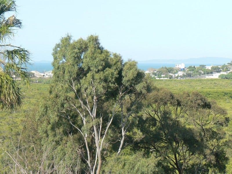 22 Naomi Drive, YEPPOON QLD 4703, Yeppoon - Thumbnail 5