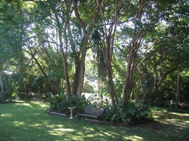 23 Stephens Street, KANDANGA QLD 4570, Kandanga - Thumbnail 5