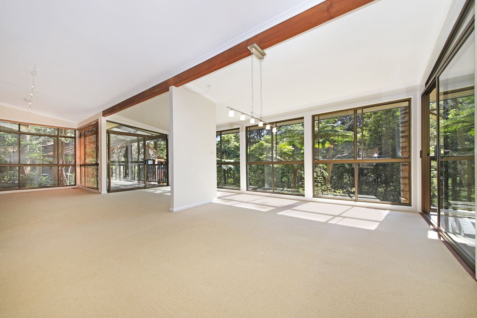 26 Elgin Street, Gordon - Thumbnail 5