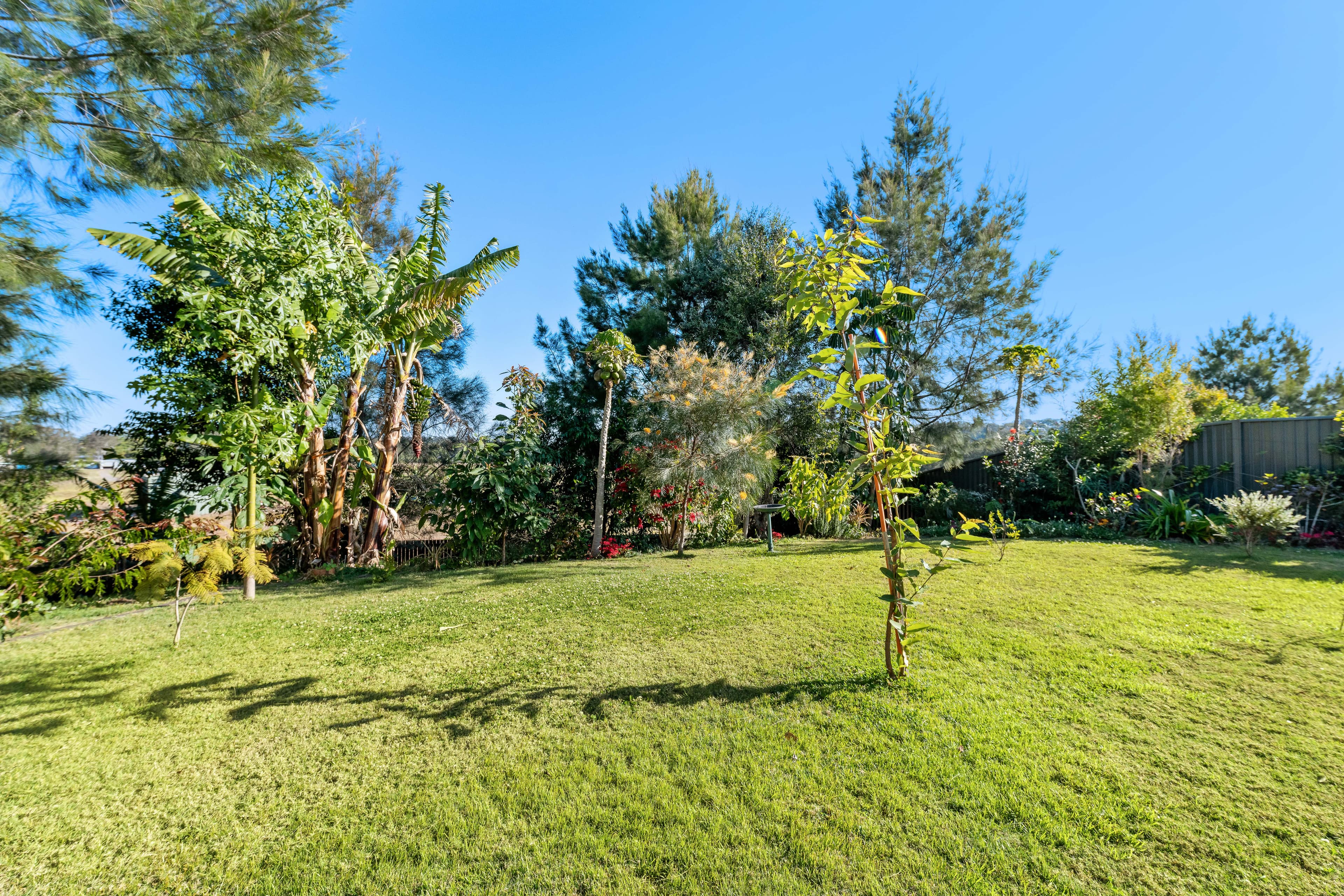 18 Hegarty Circuit, Bli Bli QLD 4560, Bli Bli - Thumbnail 4