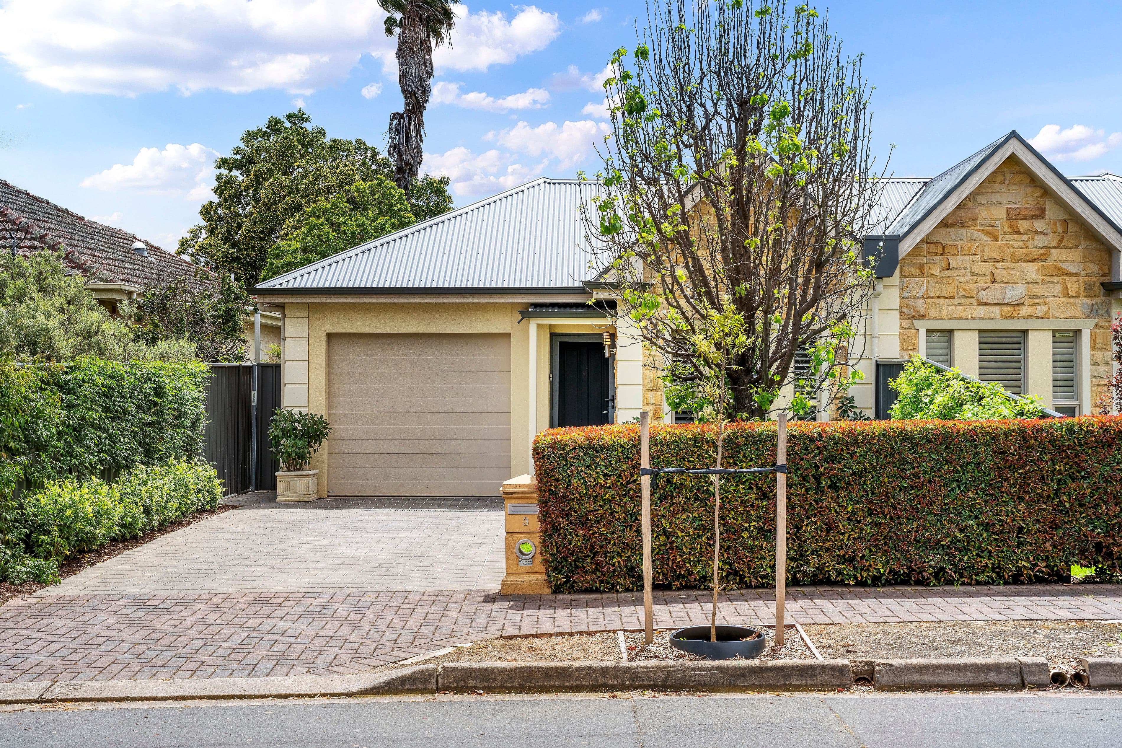 3 Loader Street, Glynde SA 5070, Glynde - Thumbnail 2