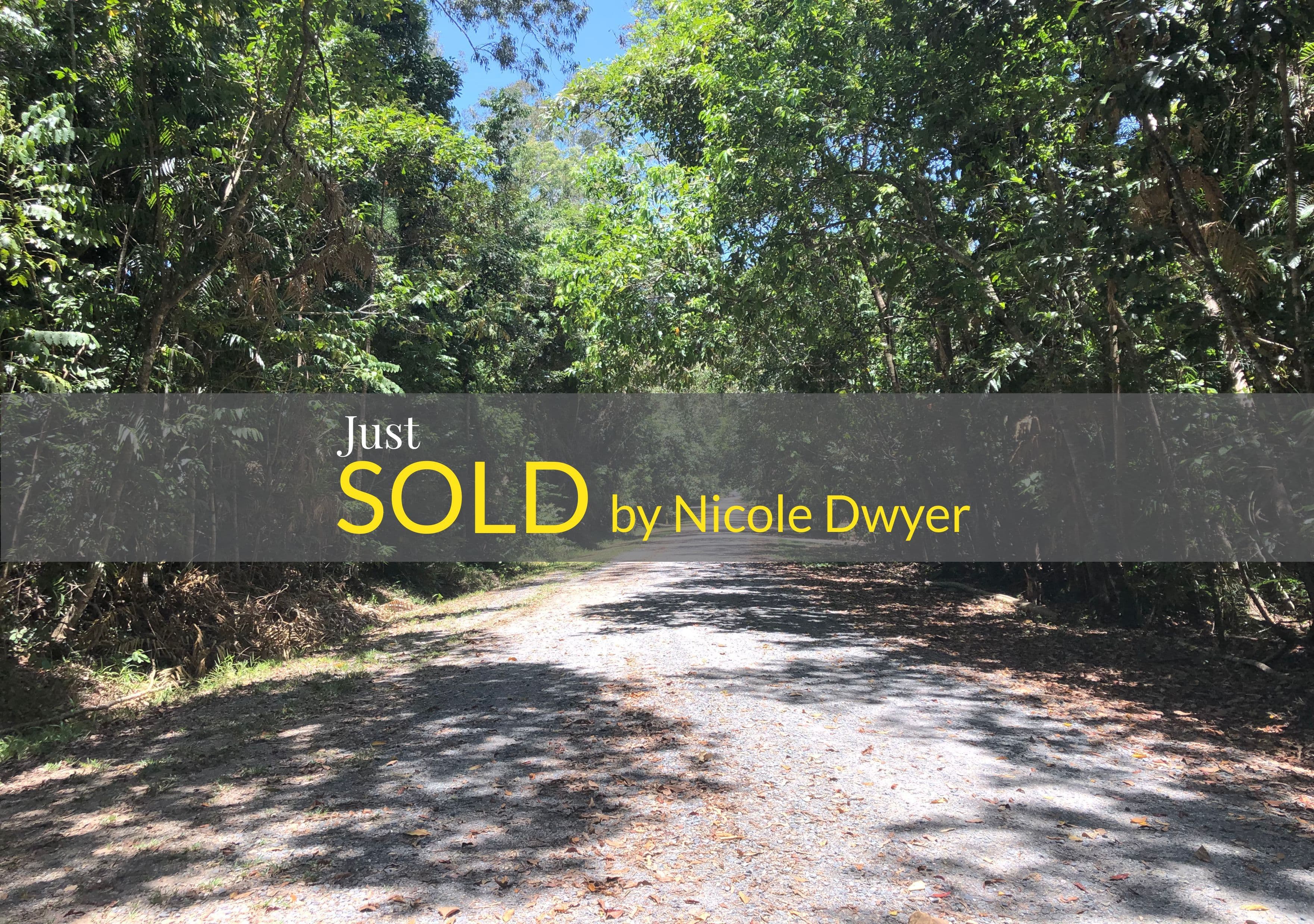 Lot 197 Quandong Road, Cow Bay, Daintree QLD 4873, Daintree - Image 1