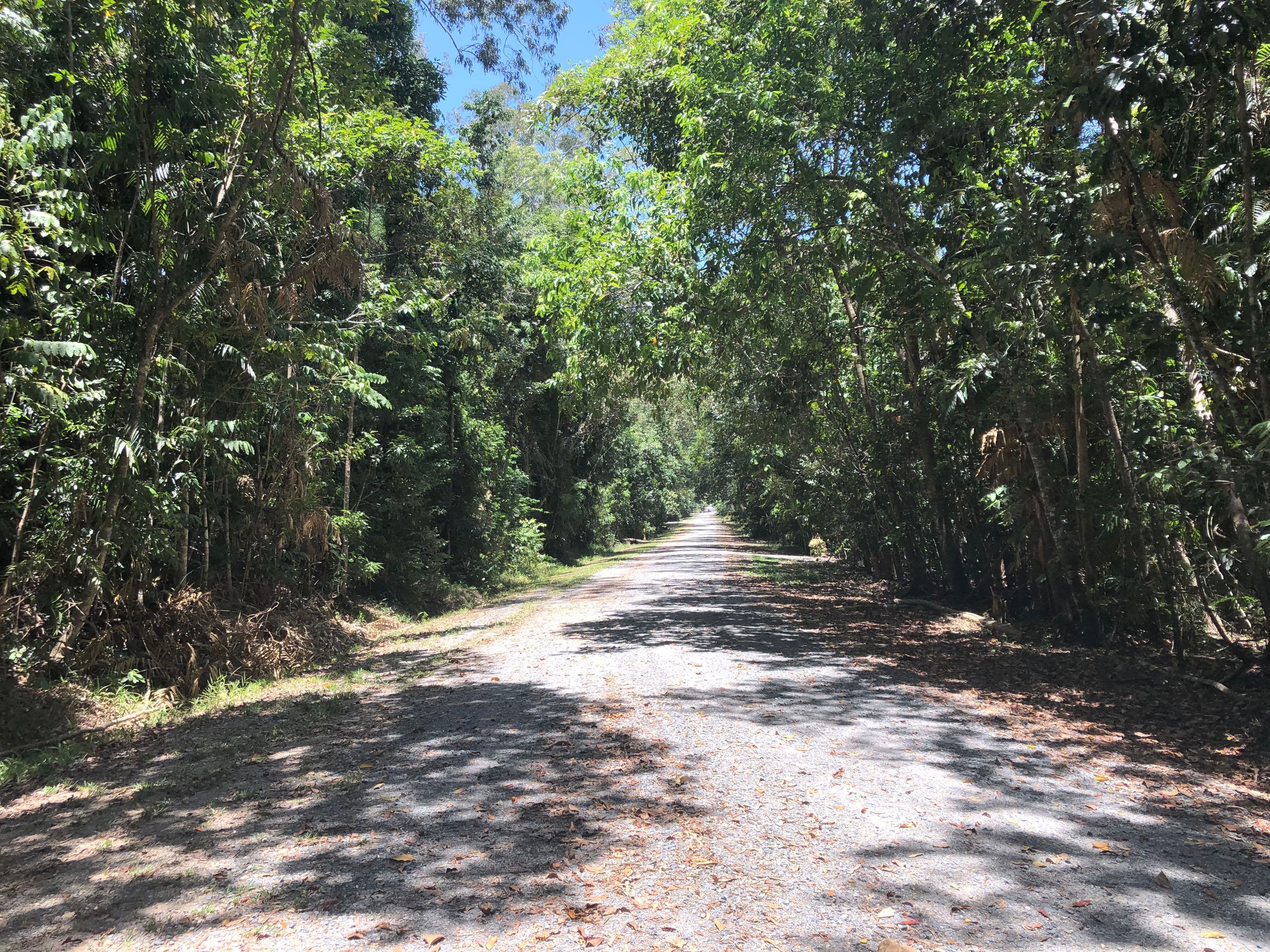 Lot 197 Quandong Road, Cow Bay, Daintree QLD 4873, Daintree - Thumbnail 4