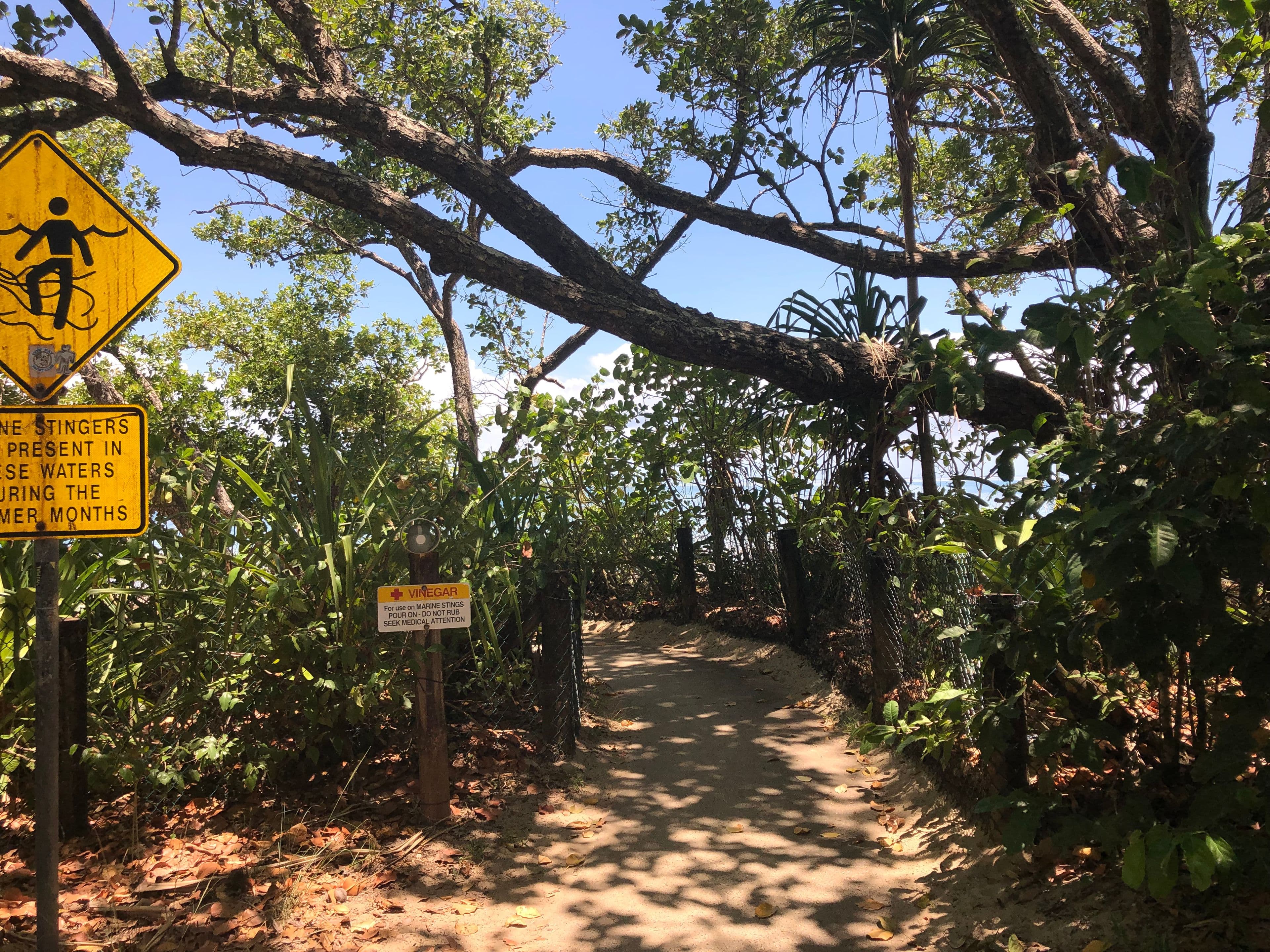 Lot 197 Quandong Road, Cow Bay, Daintree QLD 4873, Daintree - Thumbnail 6