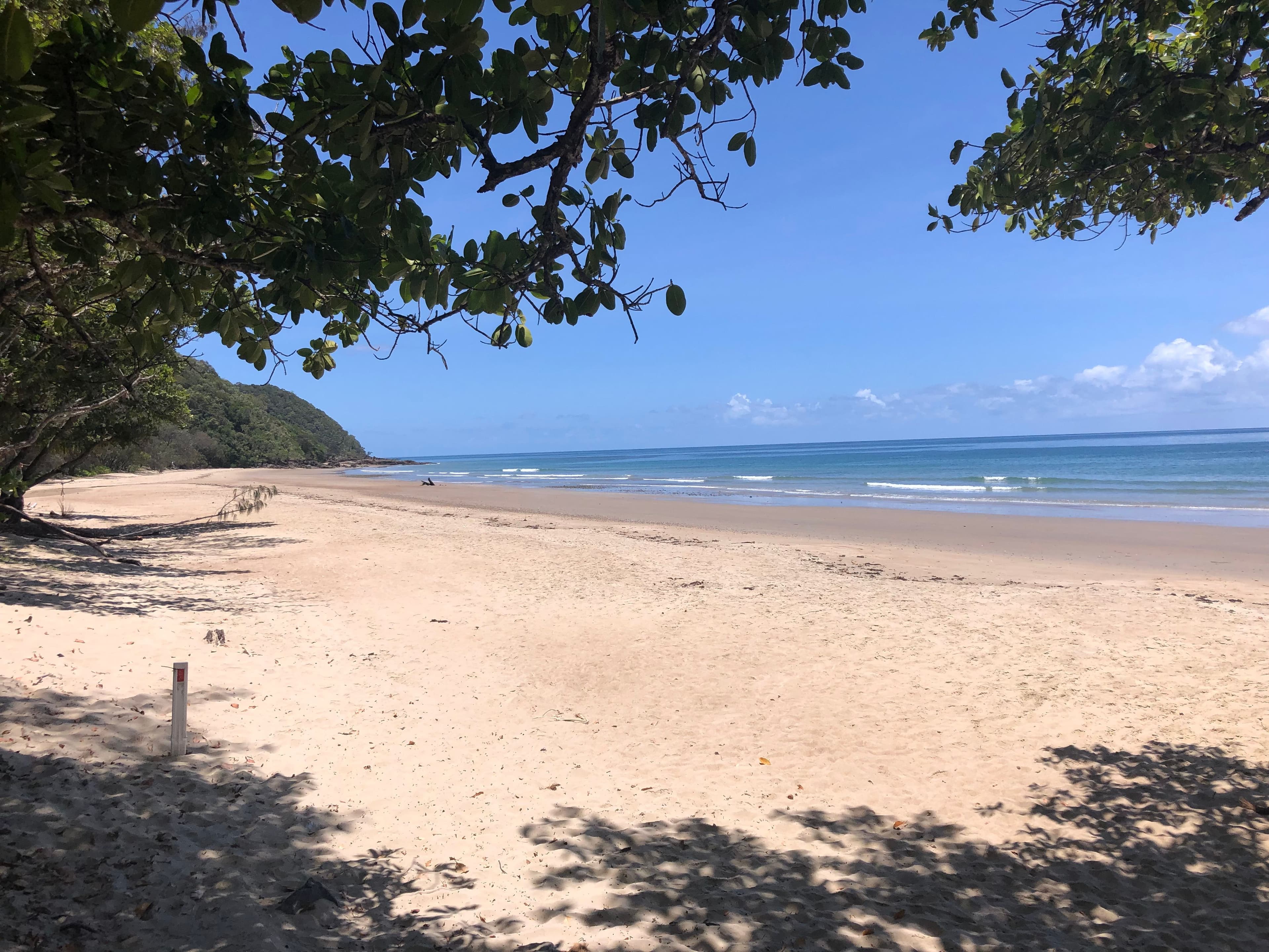 Lot 197 Quandong Road, Cow Bay, Daintree QLD 4873, Daintree - Thumbnail 7