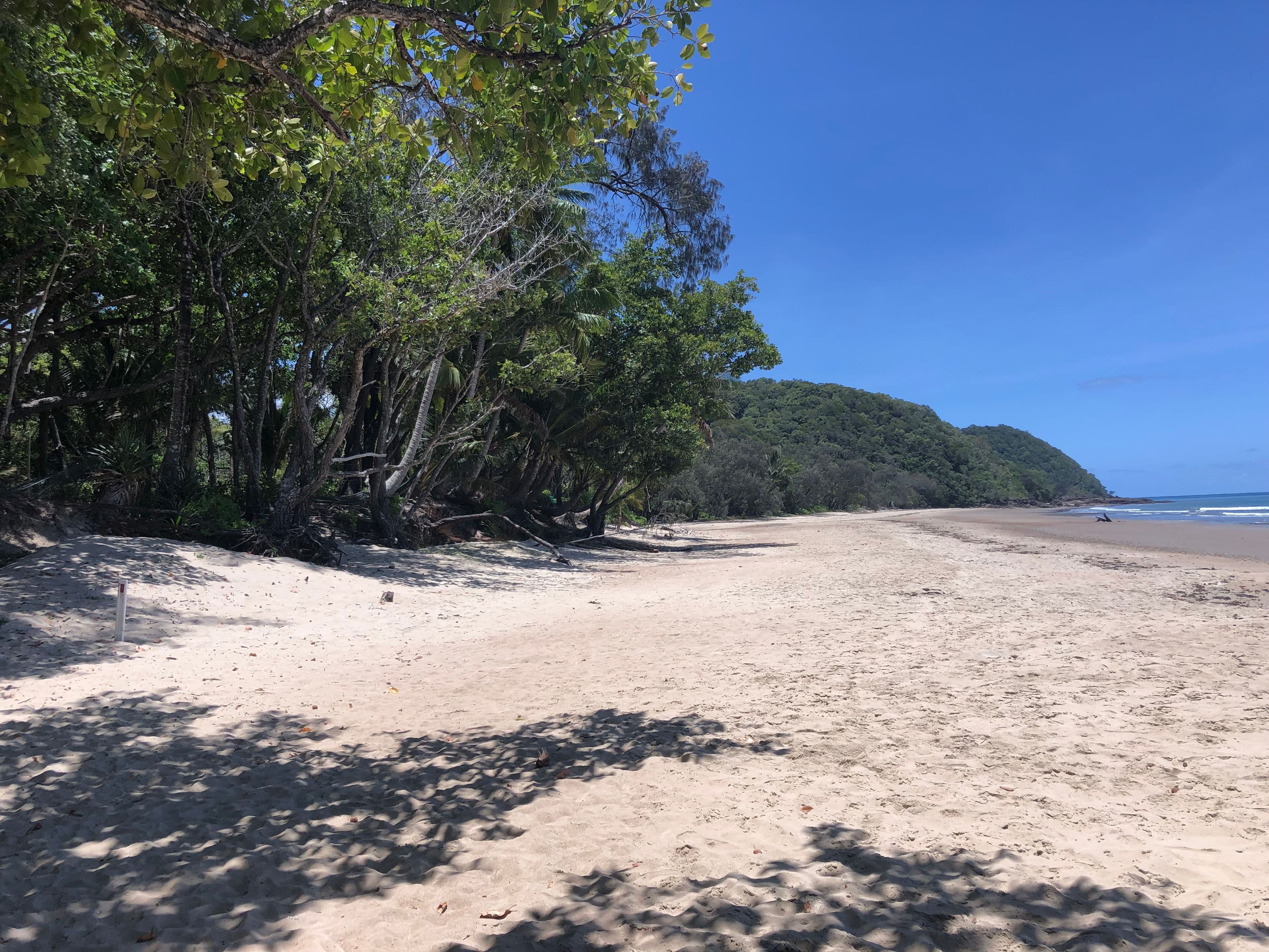 Lot 197 Quandong Road, Cow Bay, Daintree QLD 4873, Daintree - Thumbnail 8