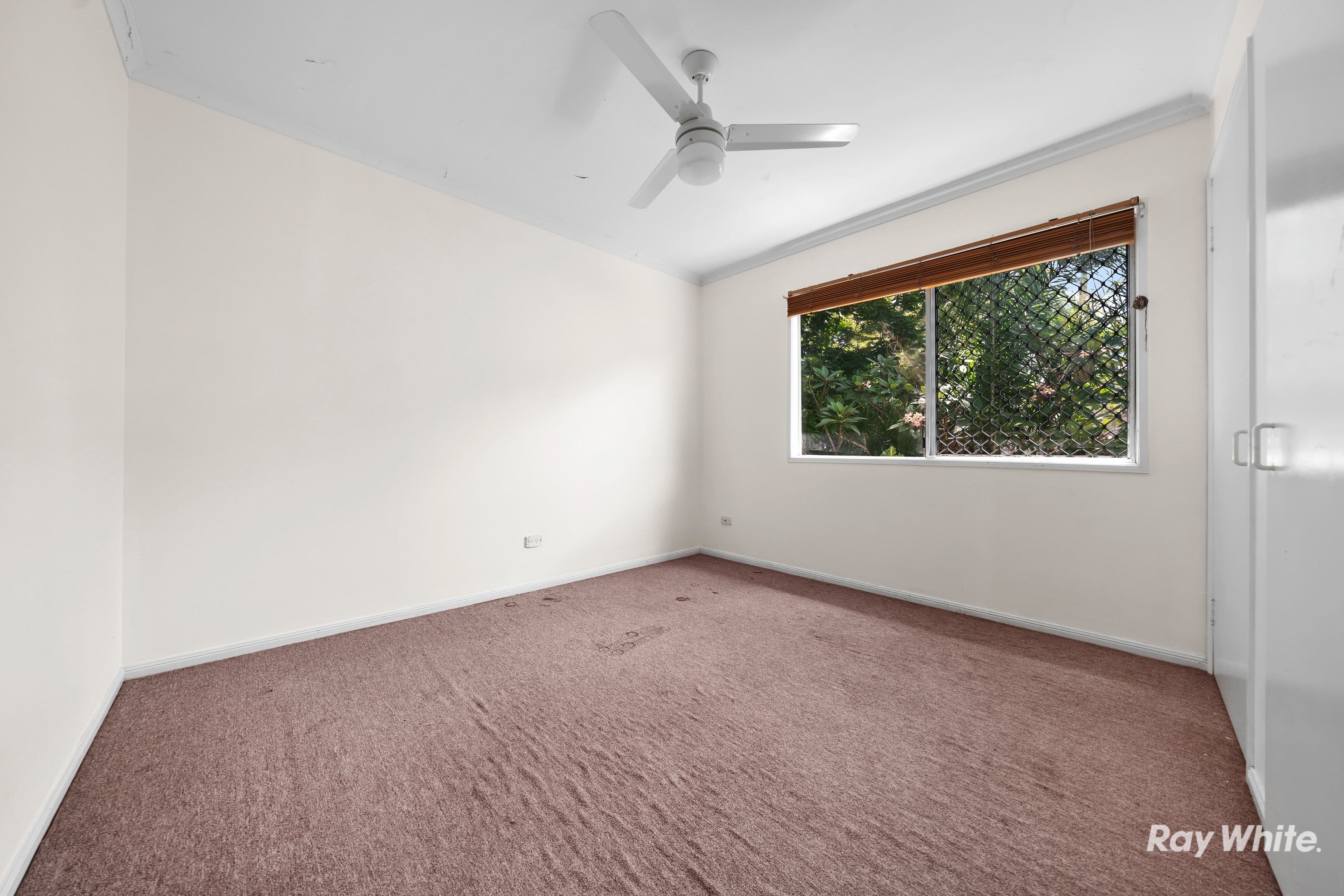 45 Maple Street, Kingston QLD 4114, Kingston - Thumbnail 7