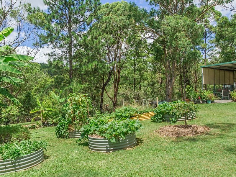 6 Redwood Street, Upper Coomera QLD 4209, Upper Coomera - Thumbnail 7