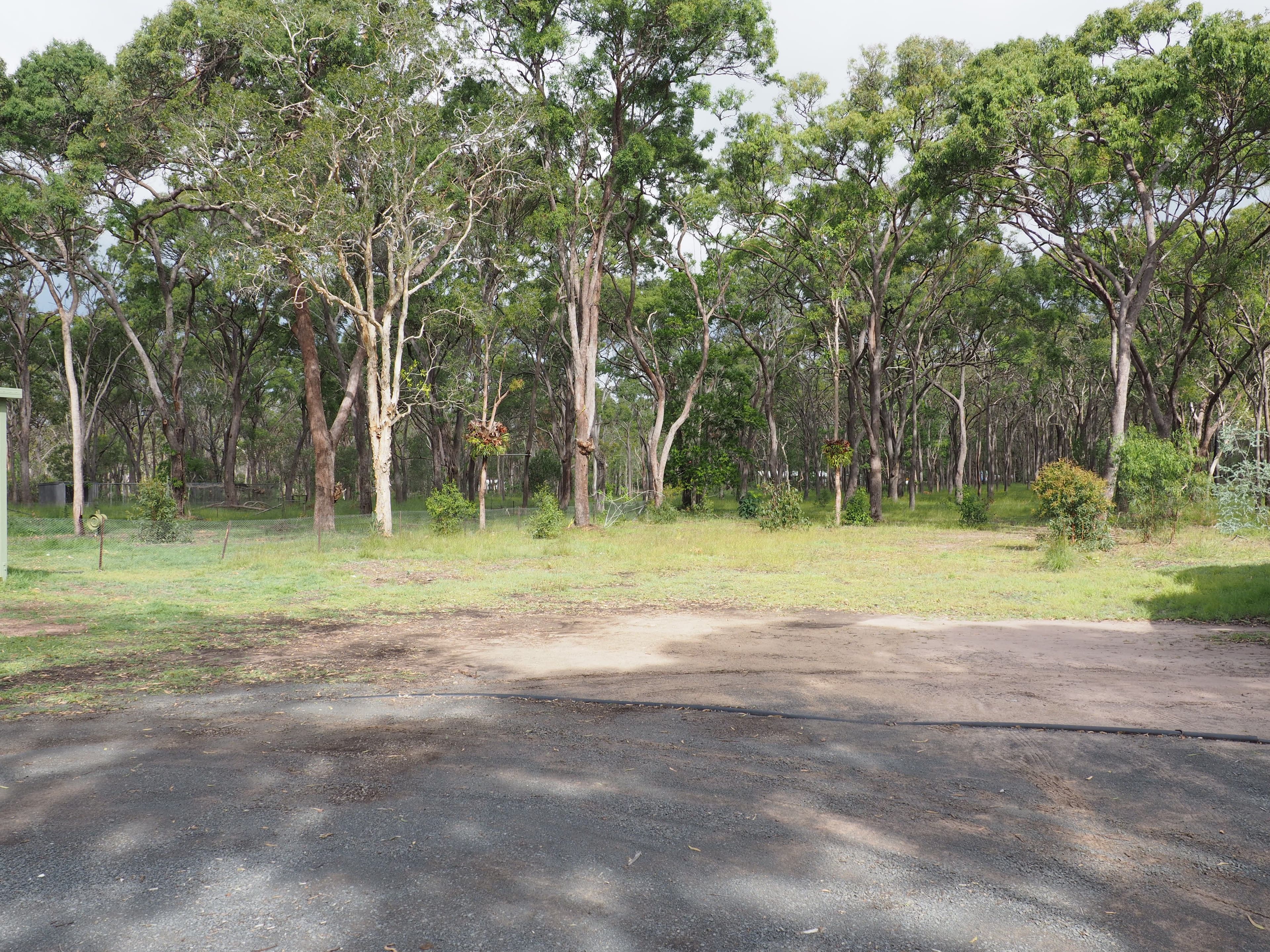 16 Ti Tree Road East, Booral QLD 4655, Booral - Thumbnail 8