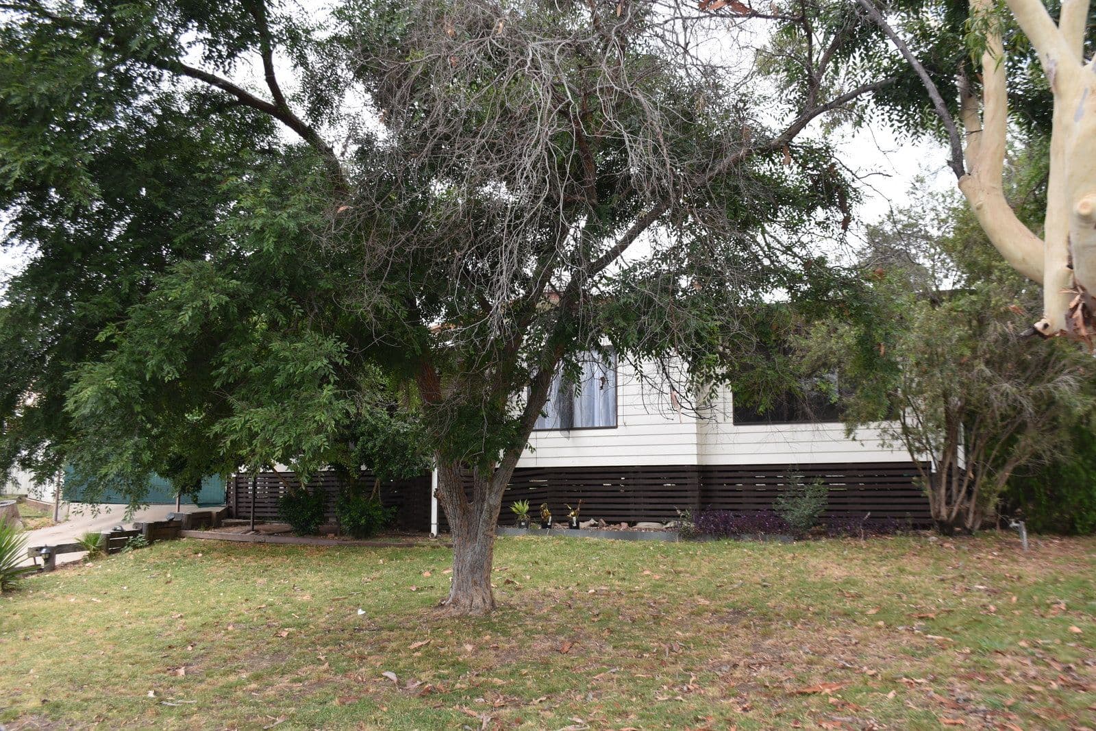 9 Broadwater Place, Moree NSW 2400, Moree - Thumbnail 4