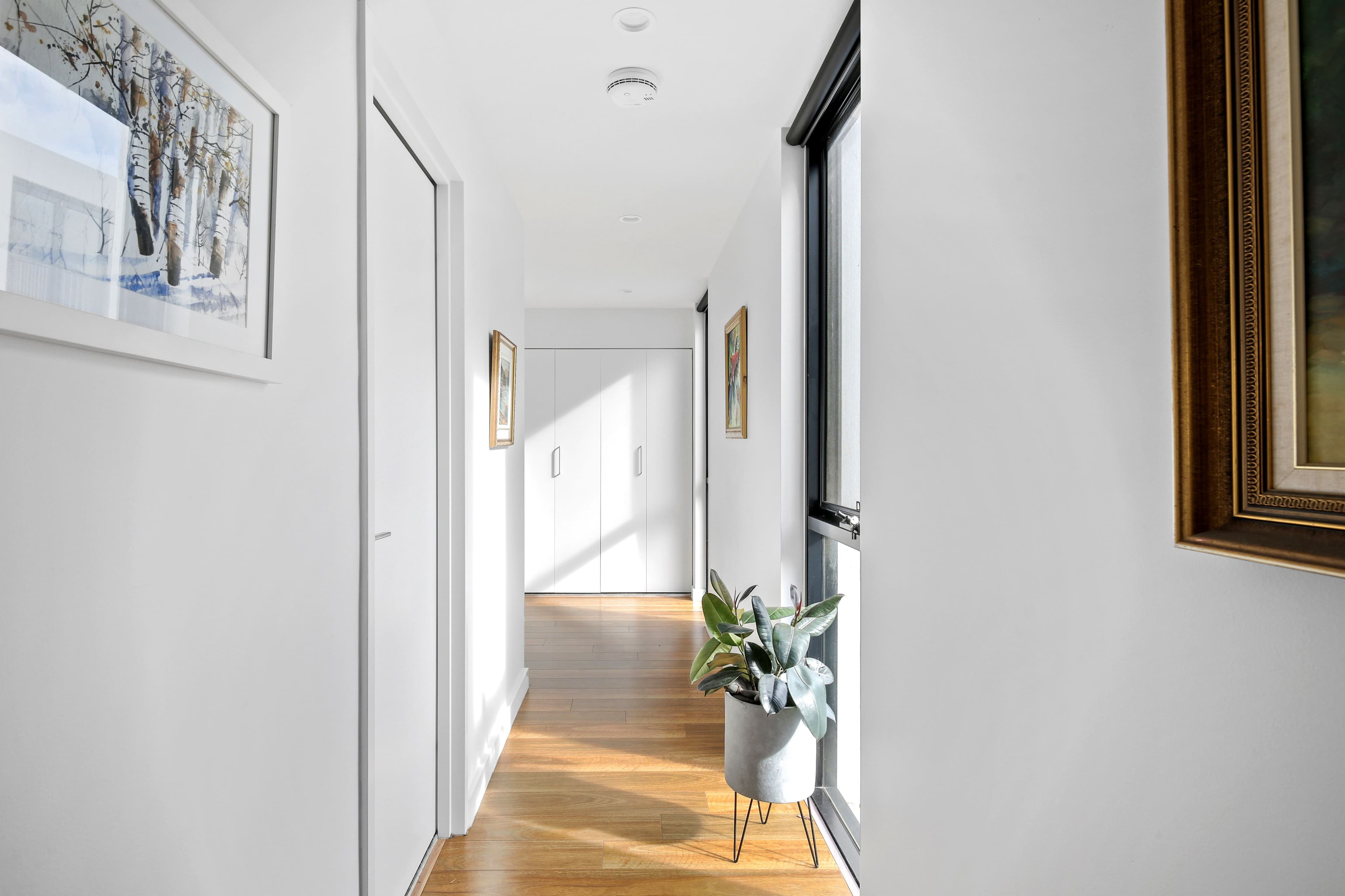 8 Boundary Street, Alexandria NSW 2015, Alexandria - Thumbnail 5