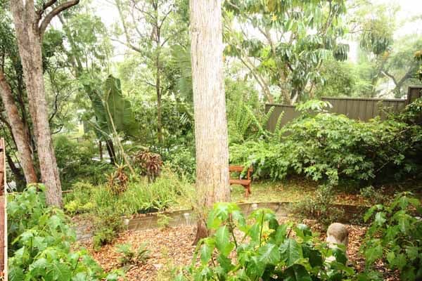 16 Millers Drive, TUGUN QLD 4224, Tugun - Thumbnail 4