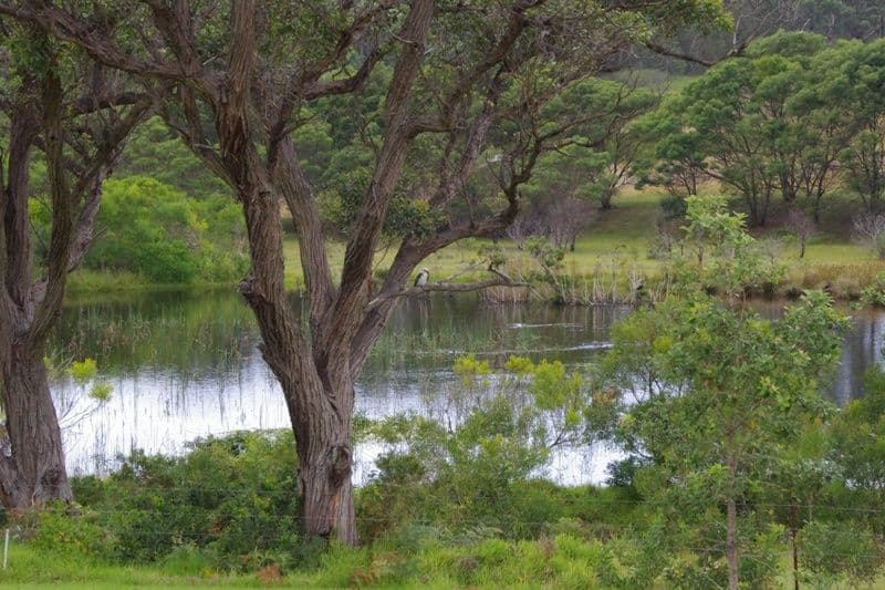 Lot 21 Bada Crescent, DOLPHIN POINT NSW 2539, Dolphin Point - Thumbnail 4