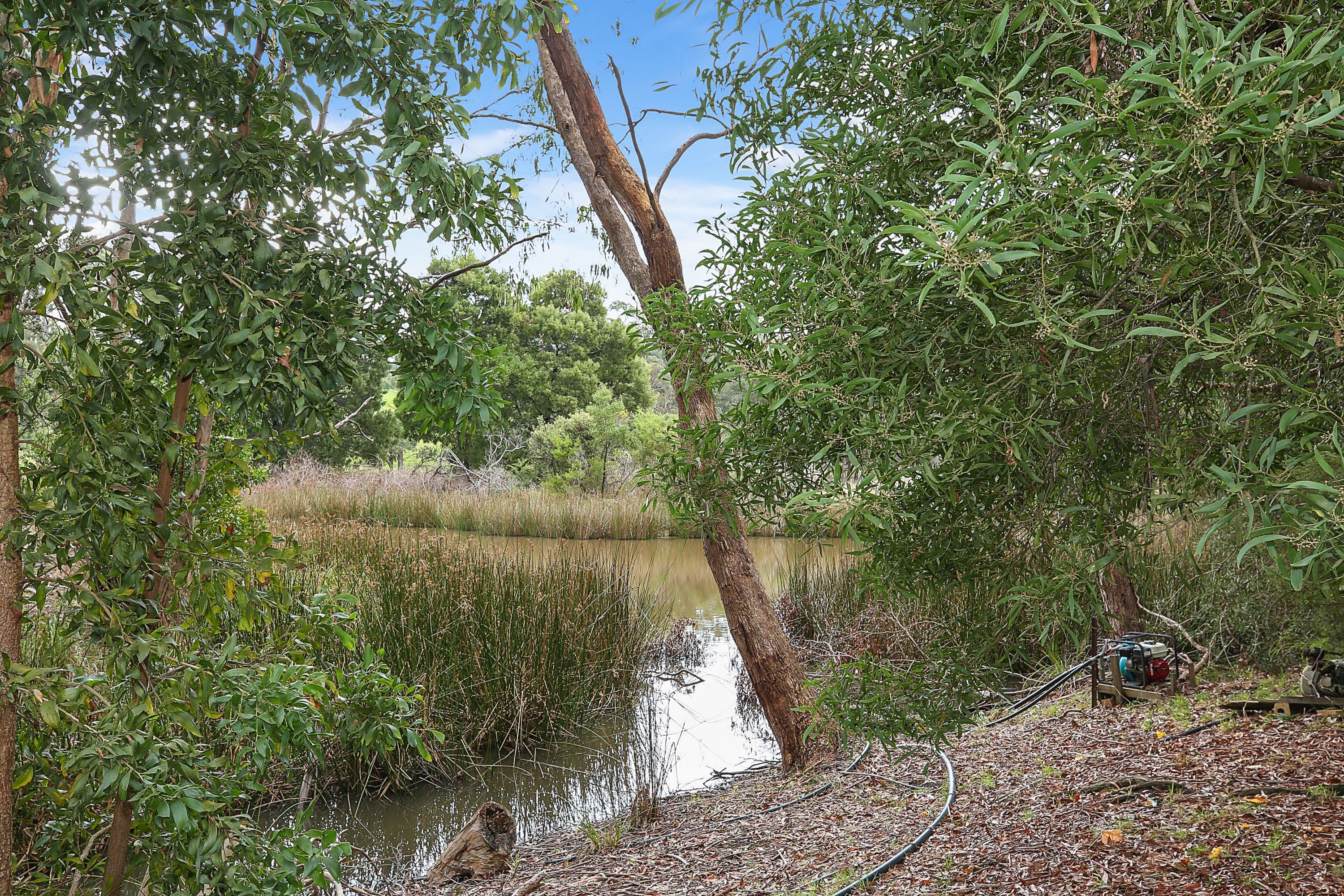 485 Seven Bridges Road, GERANGAMETE VIC 3249, Gerangamete - Thumbnail 5