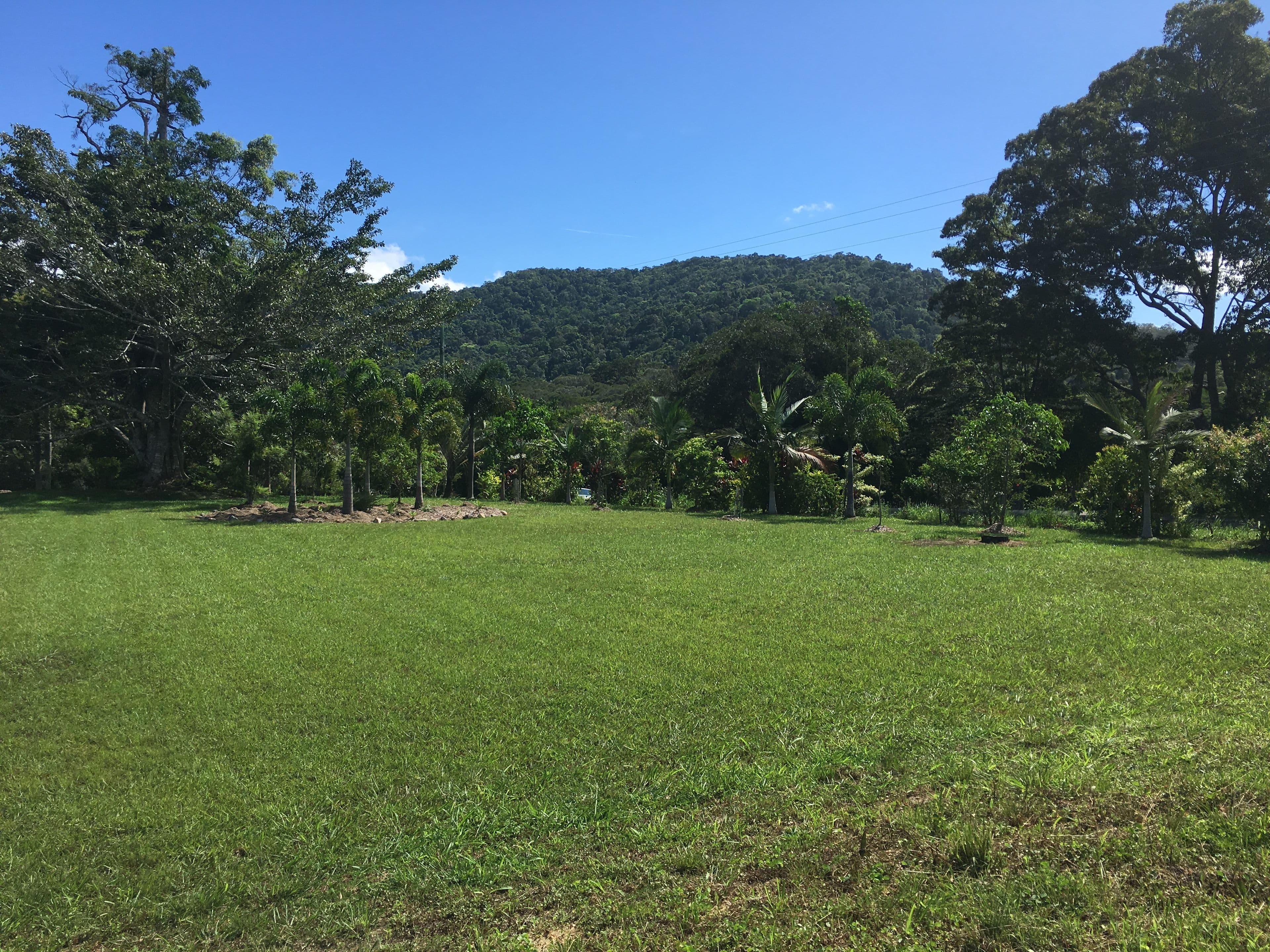 2 Platypus Close, Kuranda QLD 4881, Kuranda - Thumbnail 5
