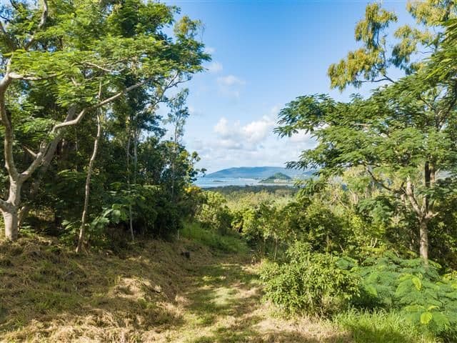 28 Black Road, Riordanvale QLD 4800, Riordanvale - Image 1
