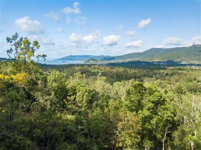 28 Black Road, Riordanvale QLD 4800, Riordanvale - Thumbnail 6