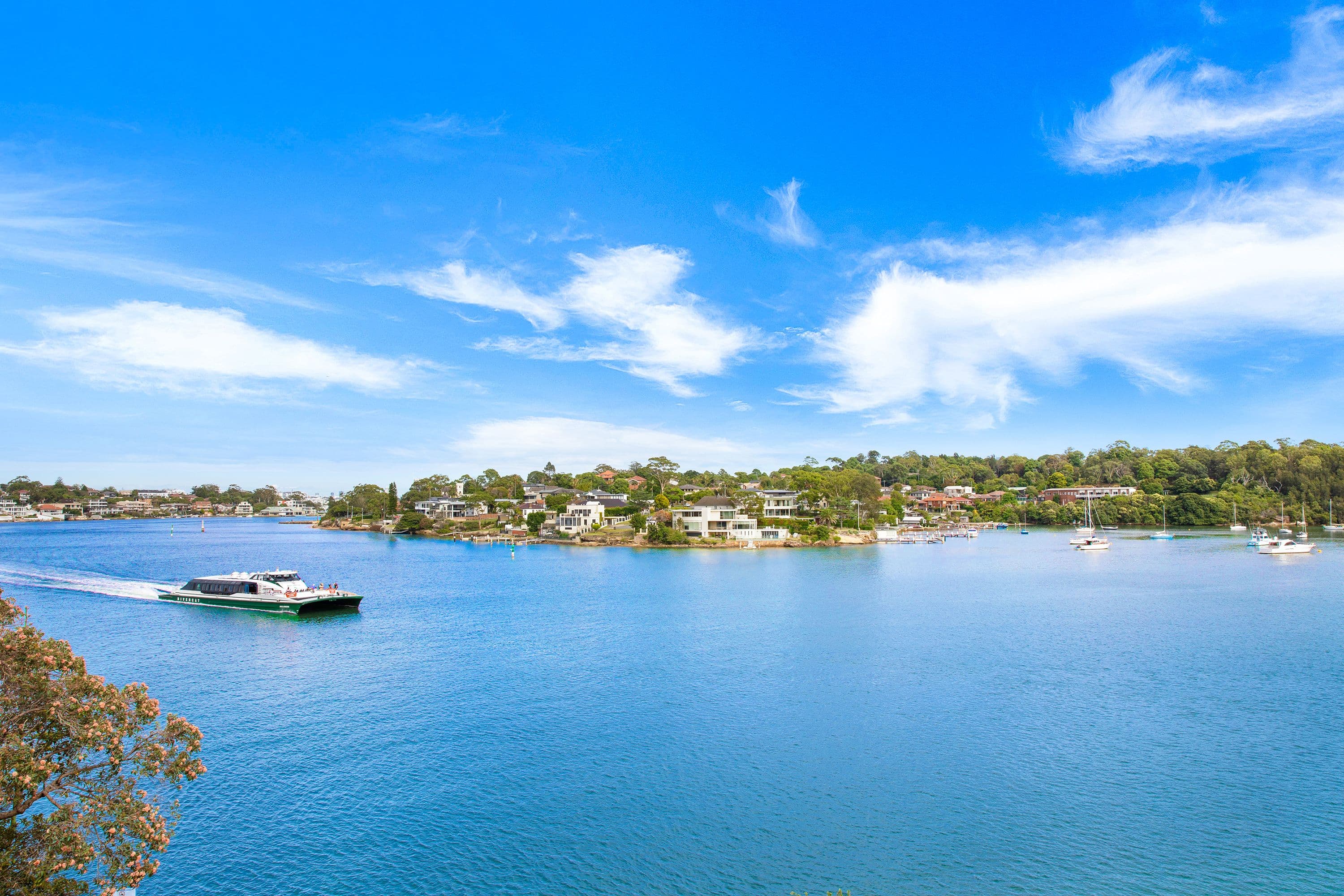 11 Bortfield Drive, Chiswick NSW 2046, Chiswick - Thumbnail 4