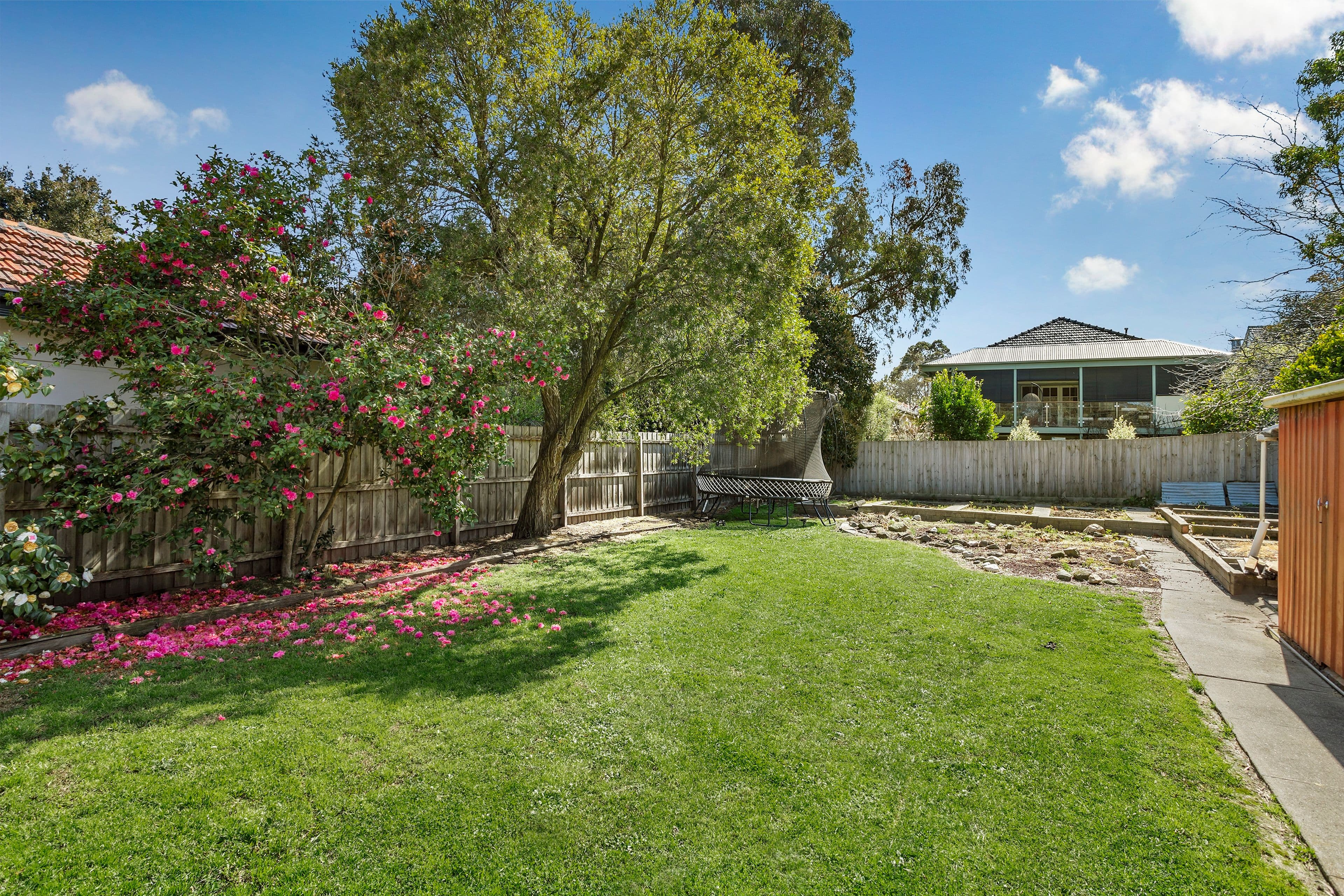 5 Halsey Street, Box Hill South VIC 3128, Box Hill South - Thumbnail 4