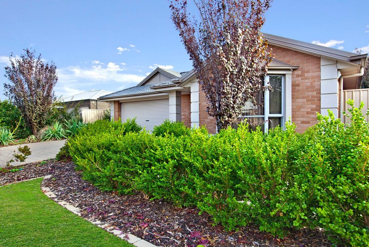 7 Roche Street, Freeling SA 5372, Freeling - Thumbnail 2